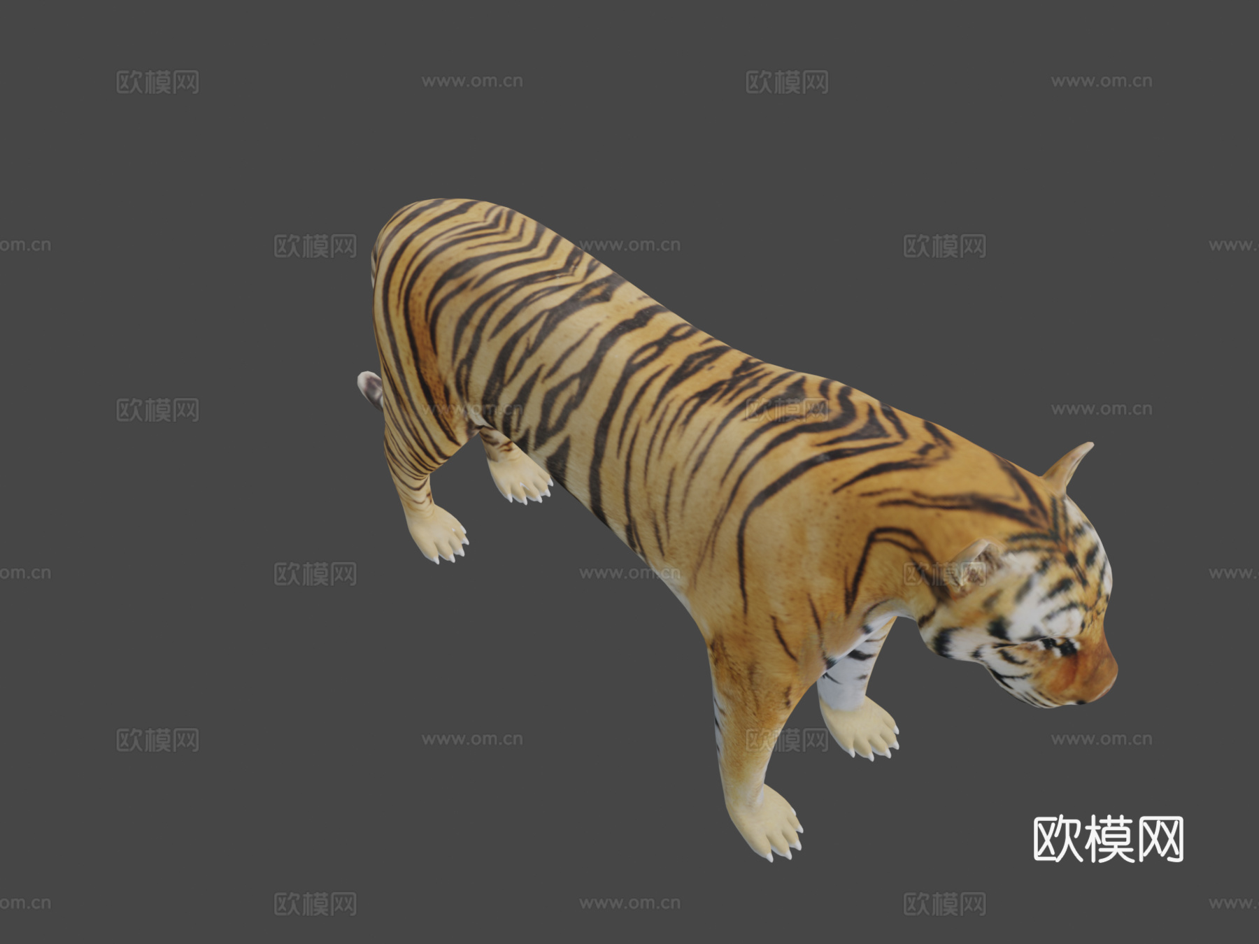 西伯利亚虎3d模型