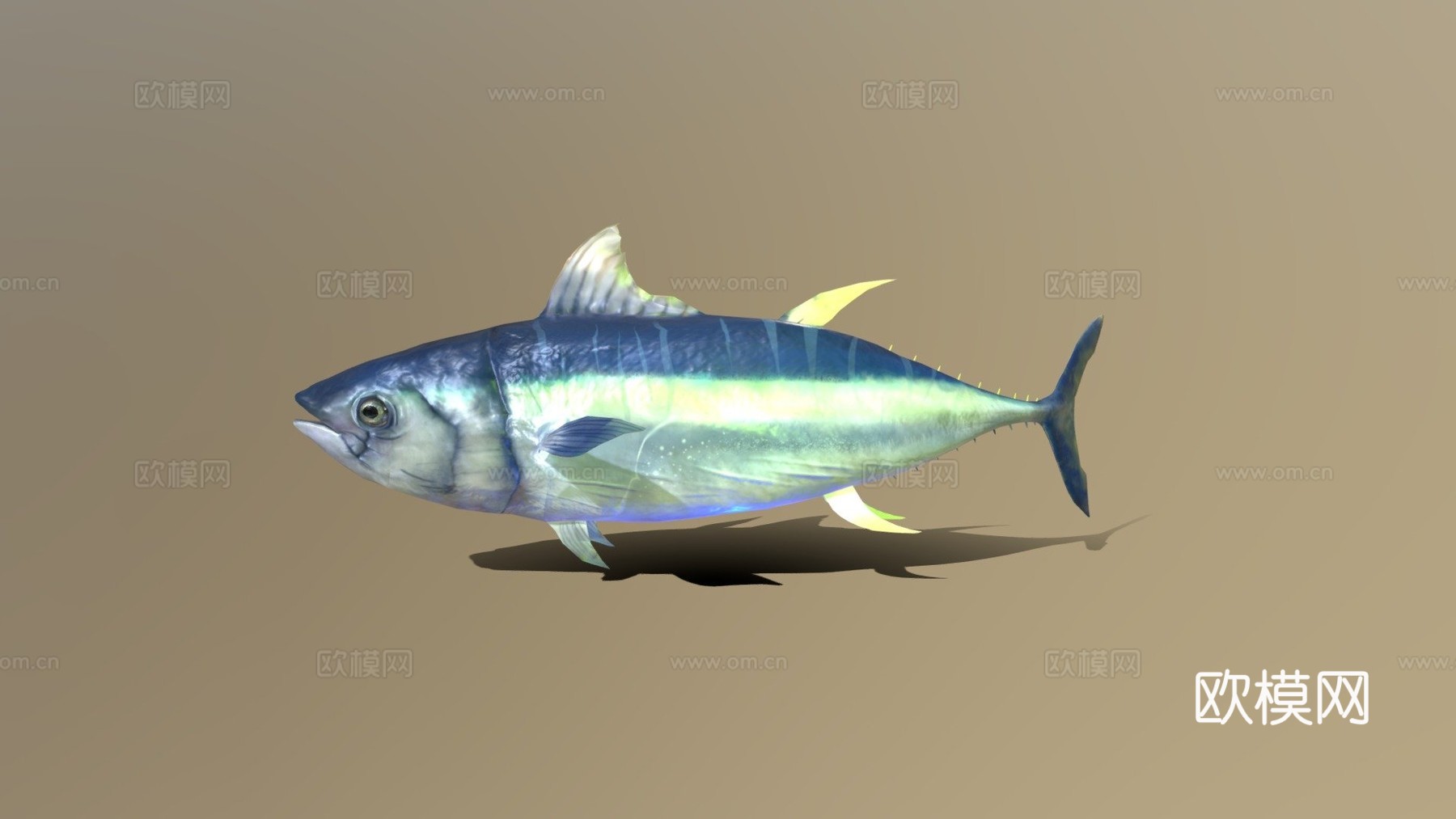 金枪鱼(GoldenZtuff)_13d模型