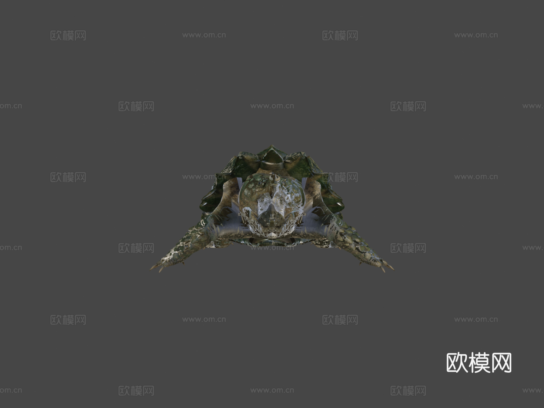 鳄龟3d模型