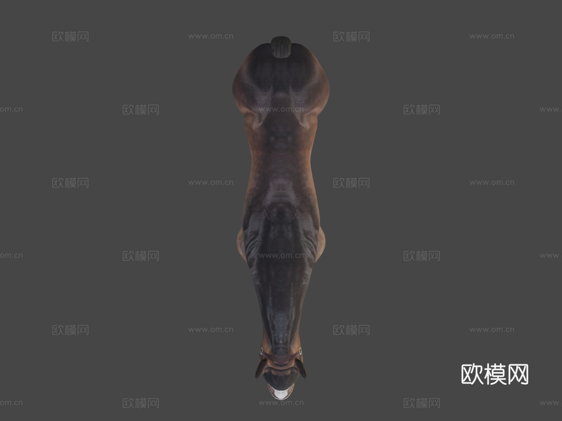 马3d模型