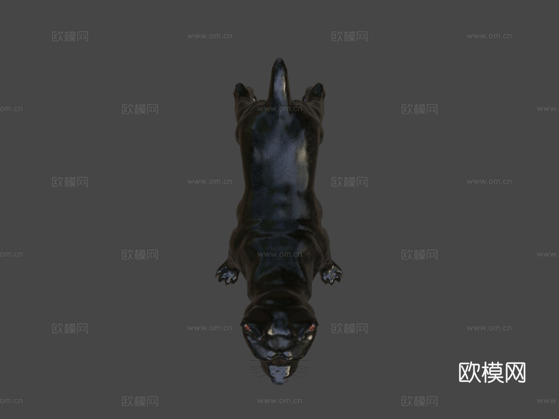 凯恩柯索V3版-几何优化3d模型