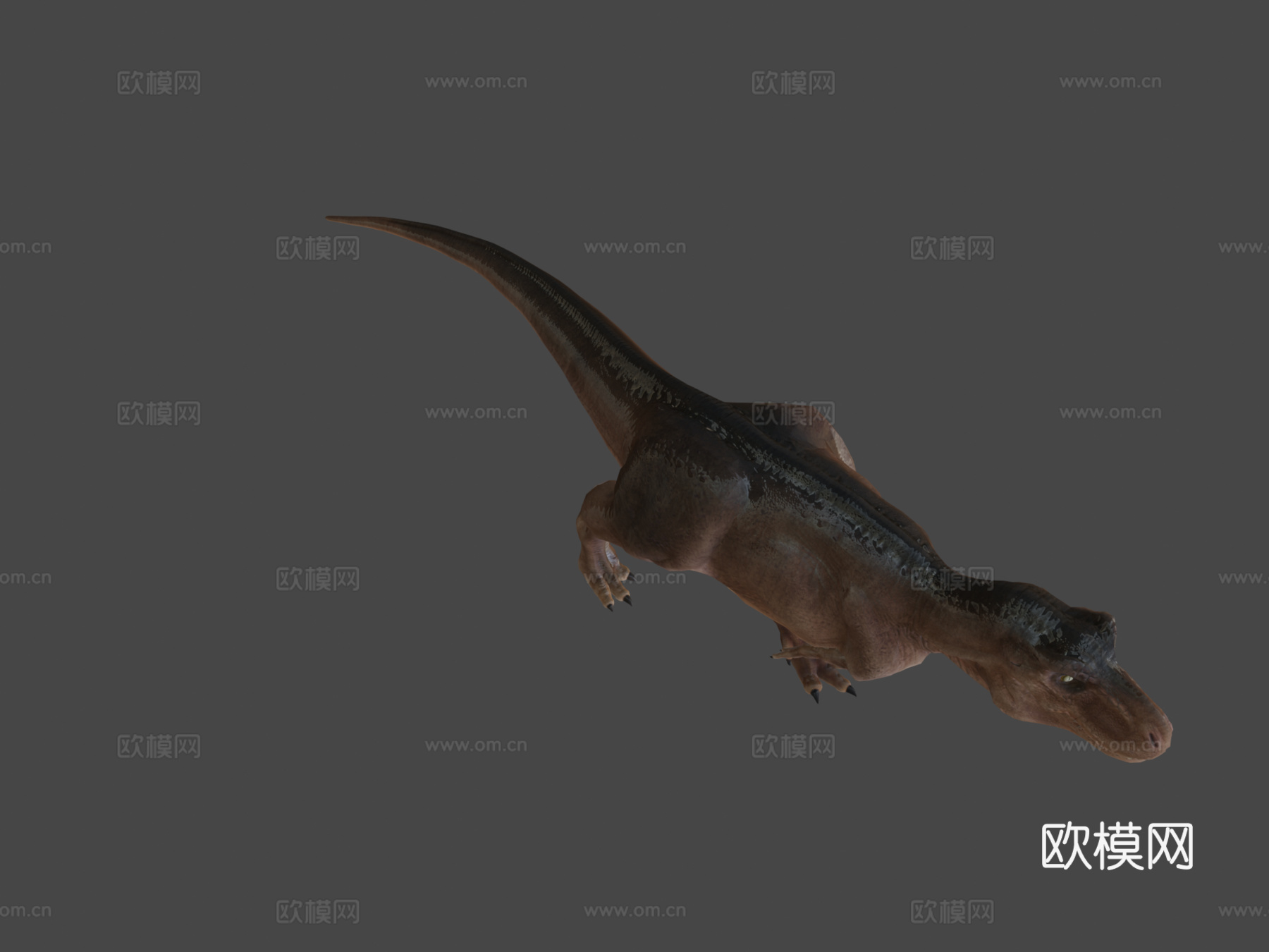 霸王龙3d模型