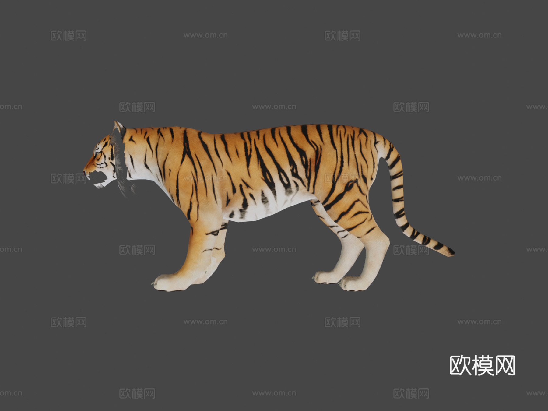 老虎3d模型