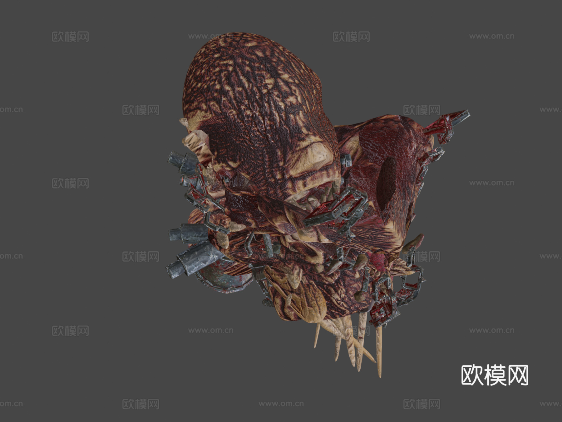 免费生物角色3d模型