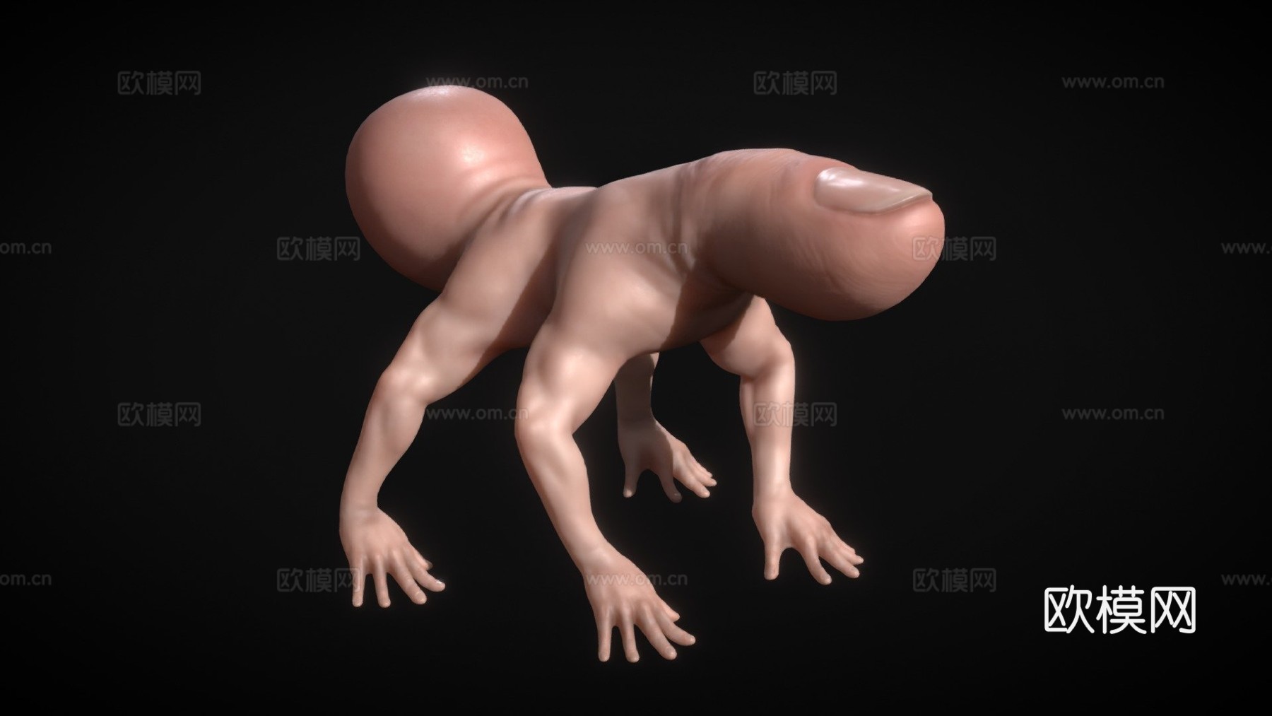 手指蜘蛛[仅模型]3d模型