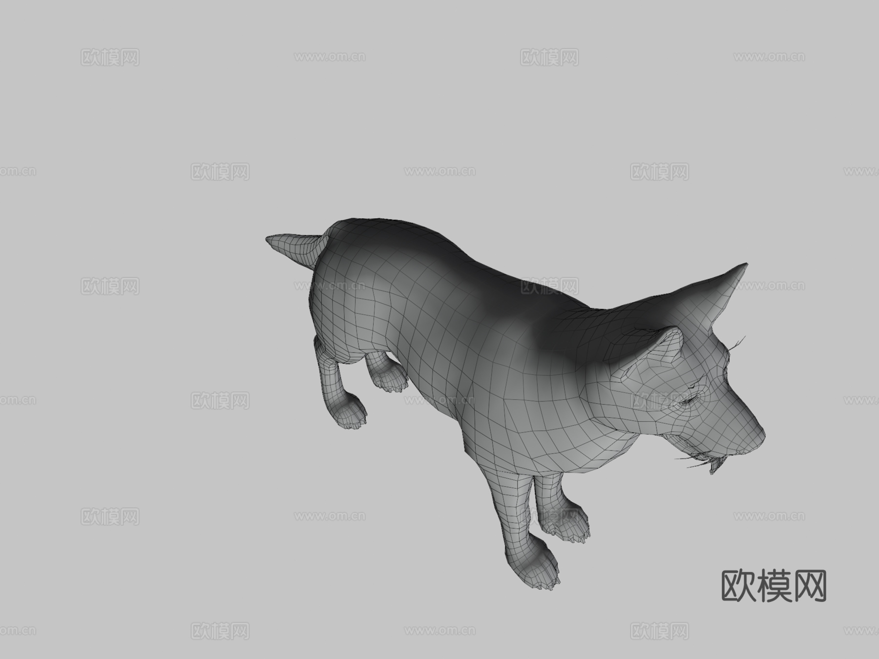 狗-牧羊犬3d模型