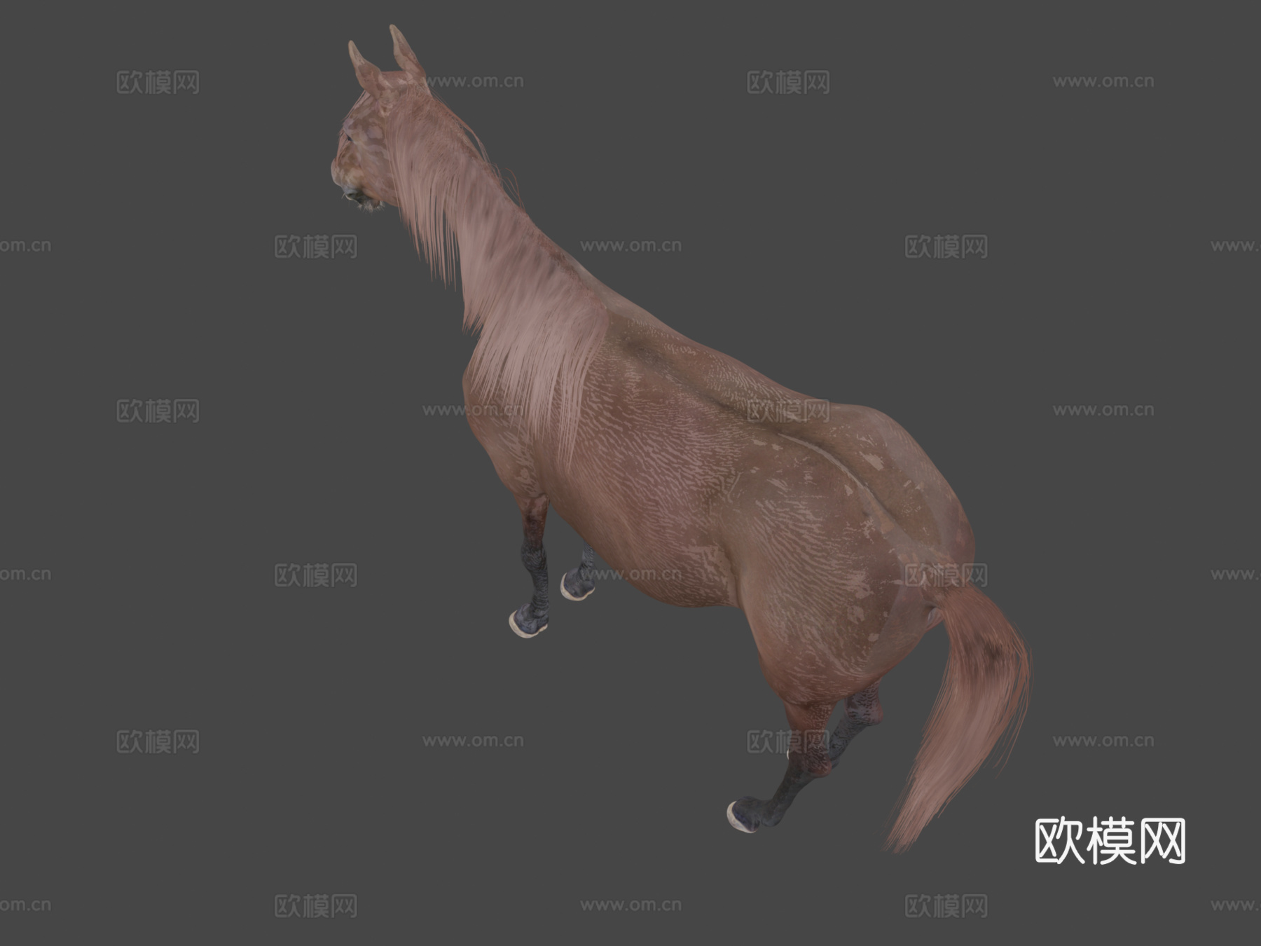 马3d模型