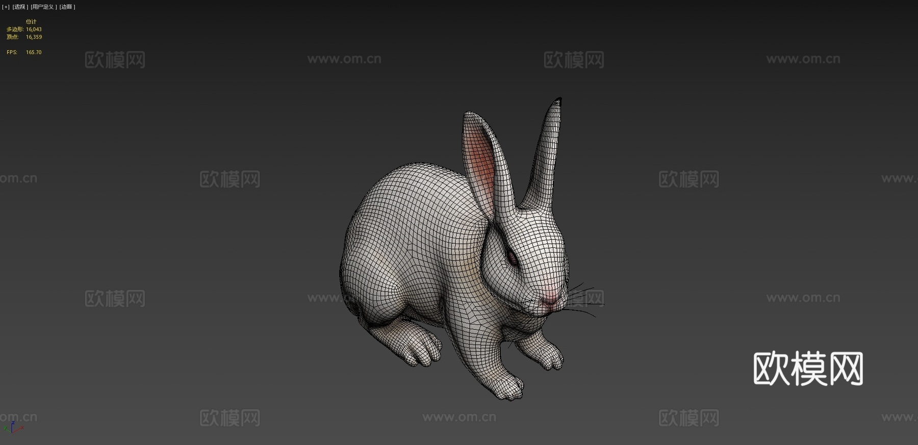 兔子3d模型
