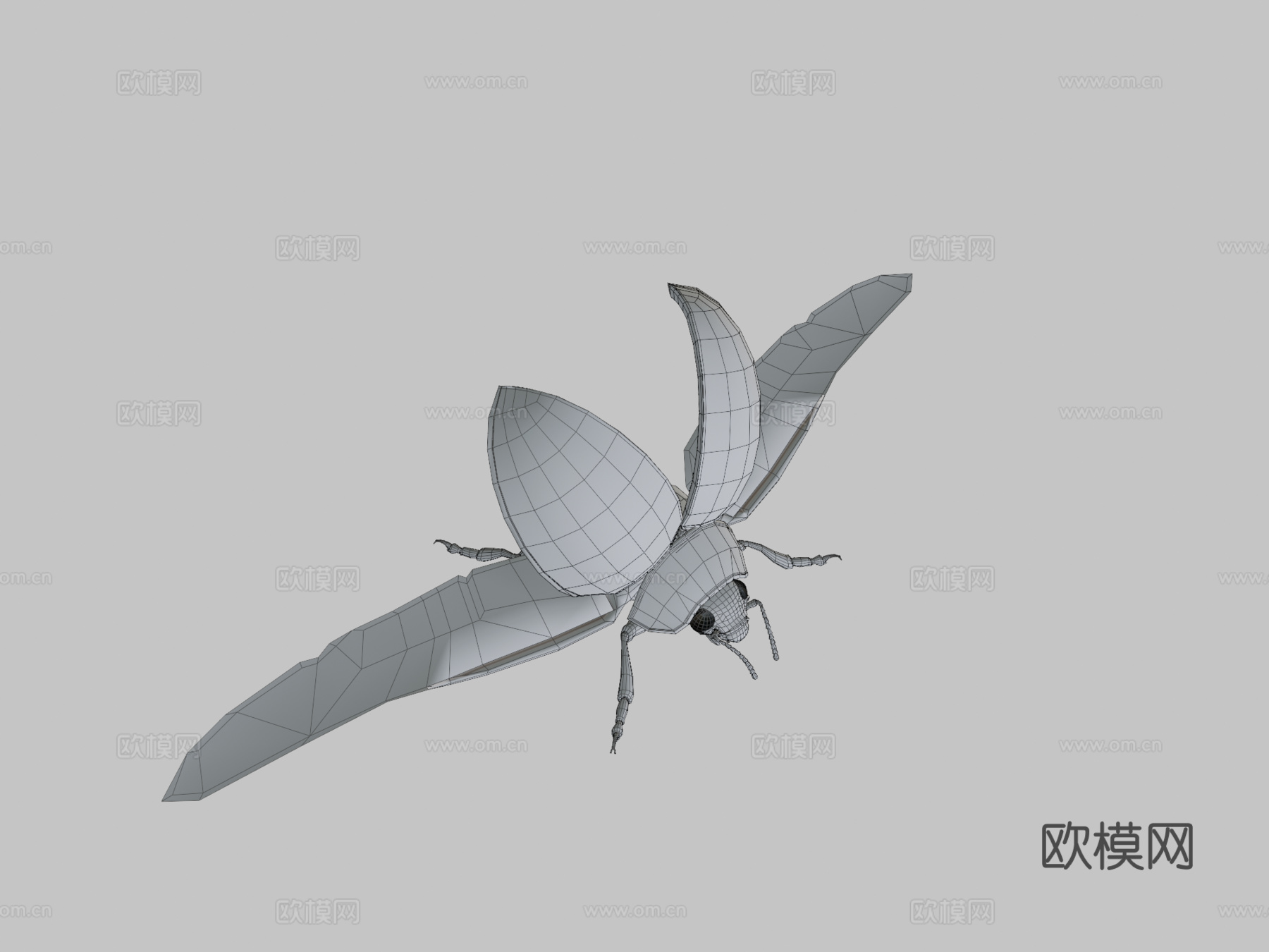 动画瓢虫3d模型