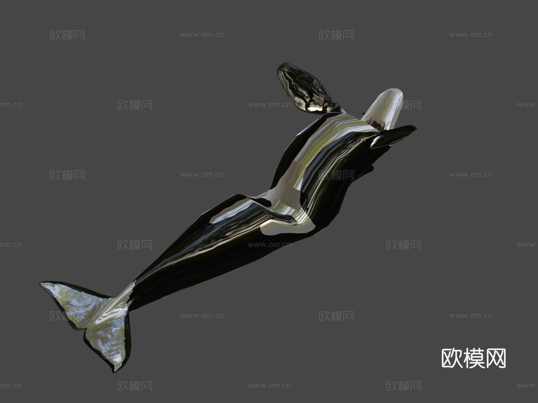虎鲸3d模型