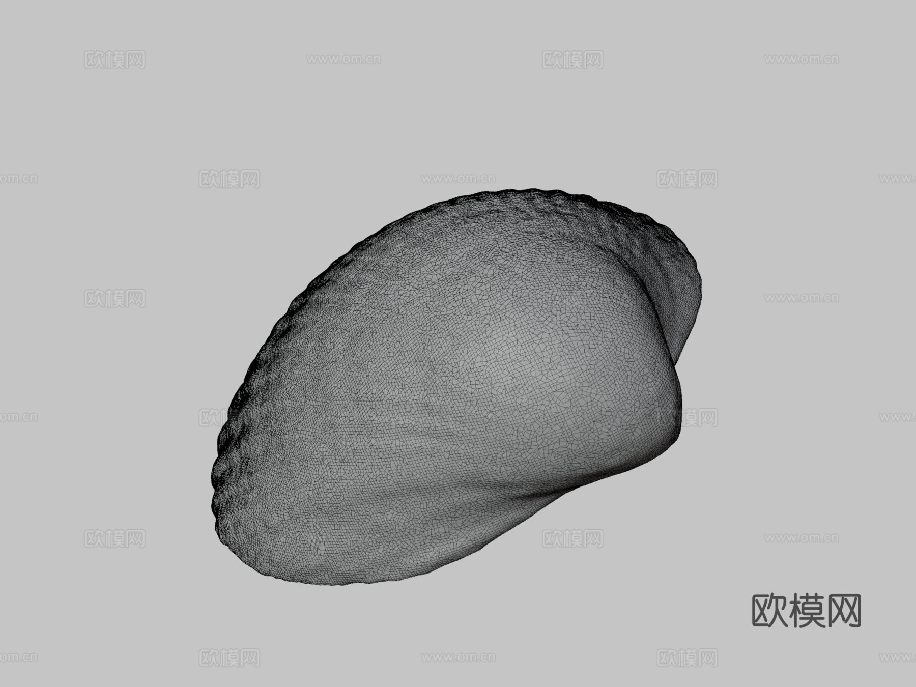 蛤壳3d模型下载（渲染图3）