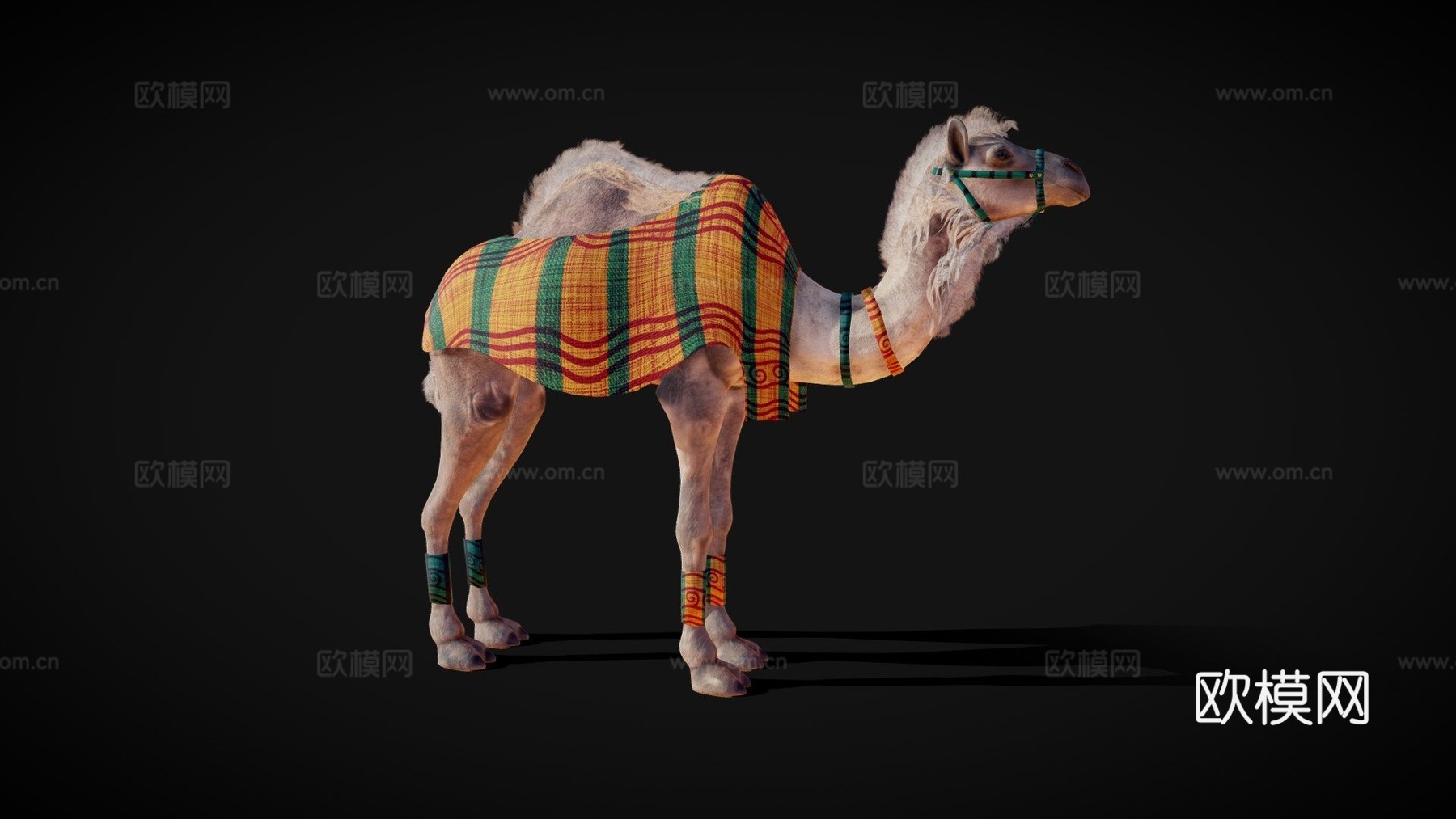 骆驼3d模型