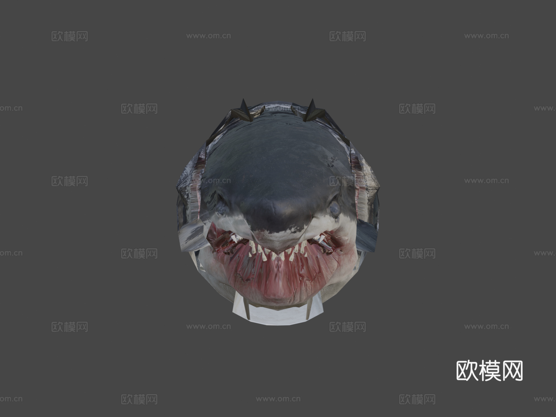 白鲨3d模型
