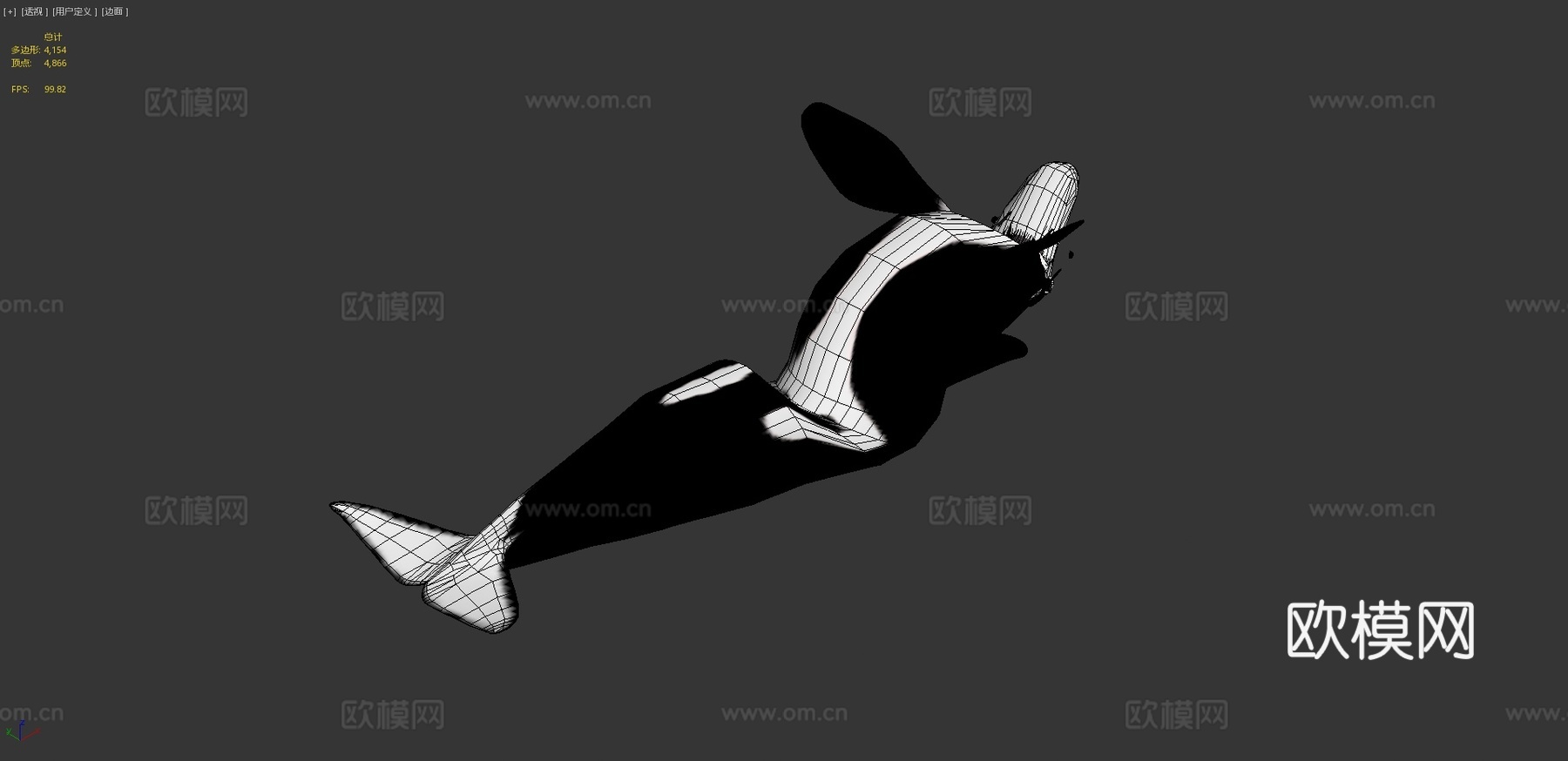 虎鲸3d模型