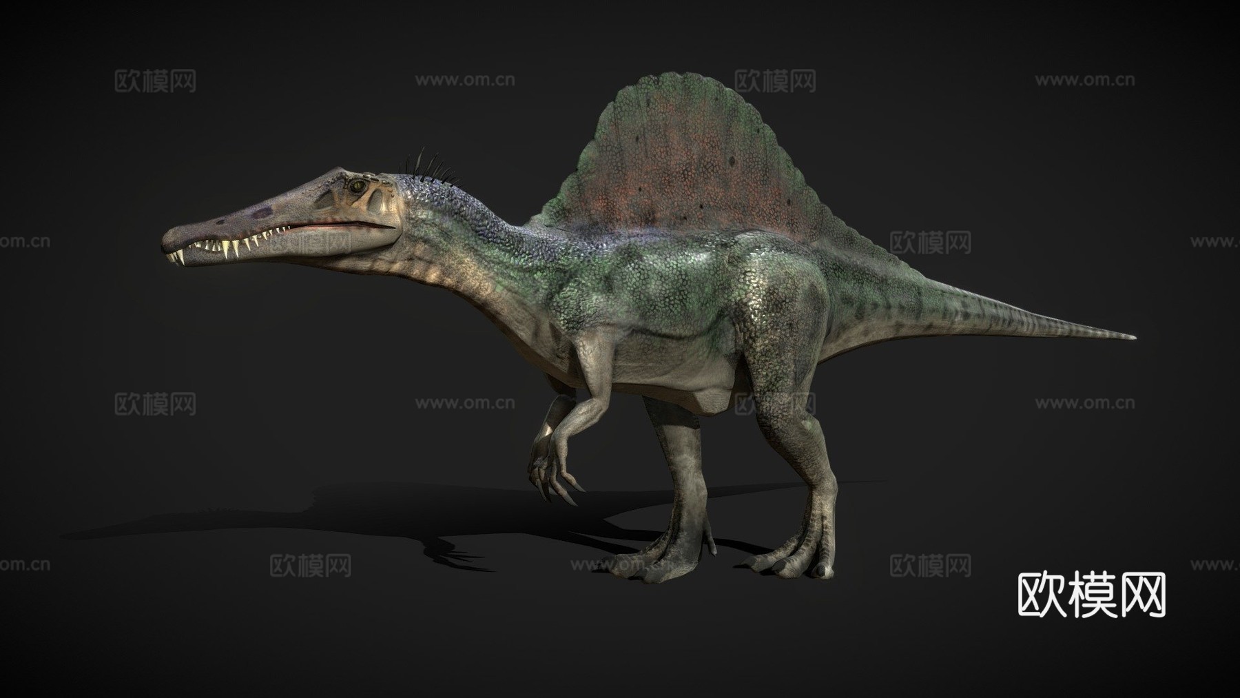 棘龙低多边形3d模型