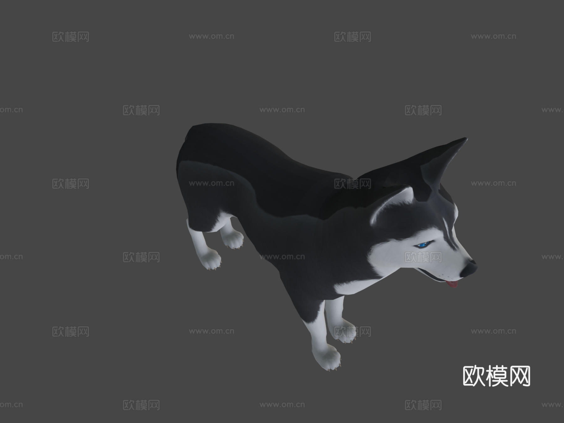 哈士奇犬3d模型