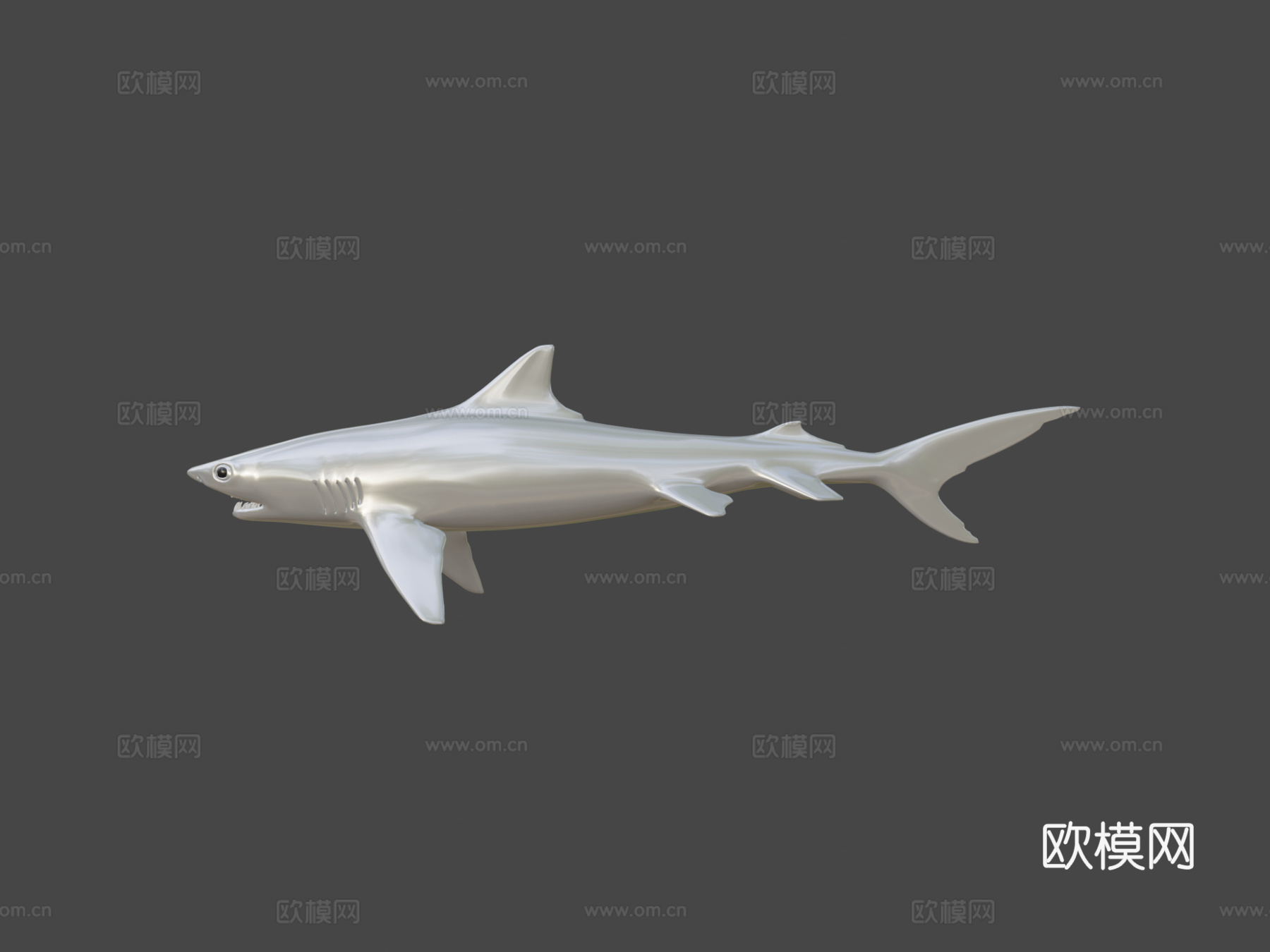 虎鲨3d模型