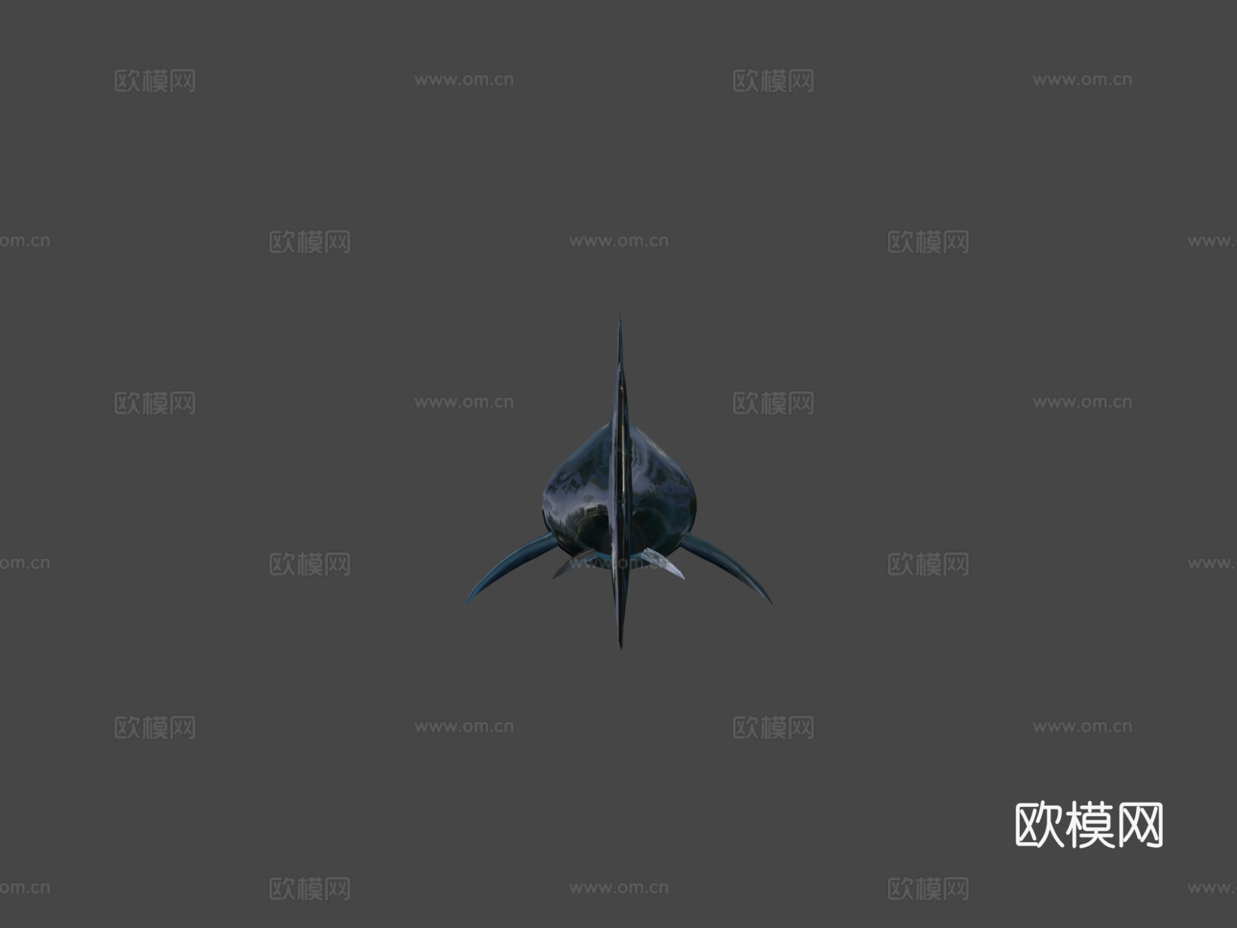 鲨鱼3d模型