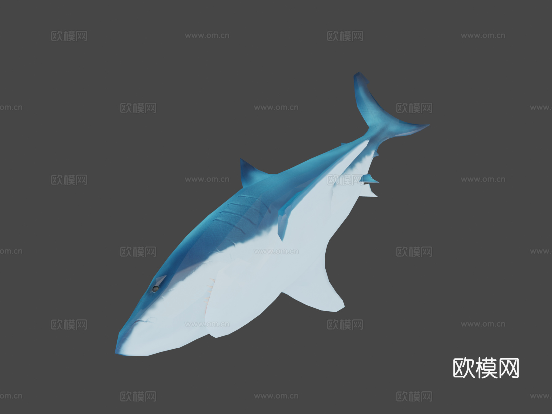 雀巢AR鲨鱼3d模型