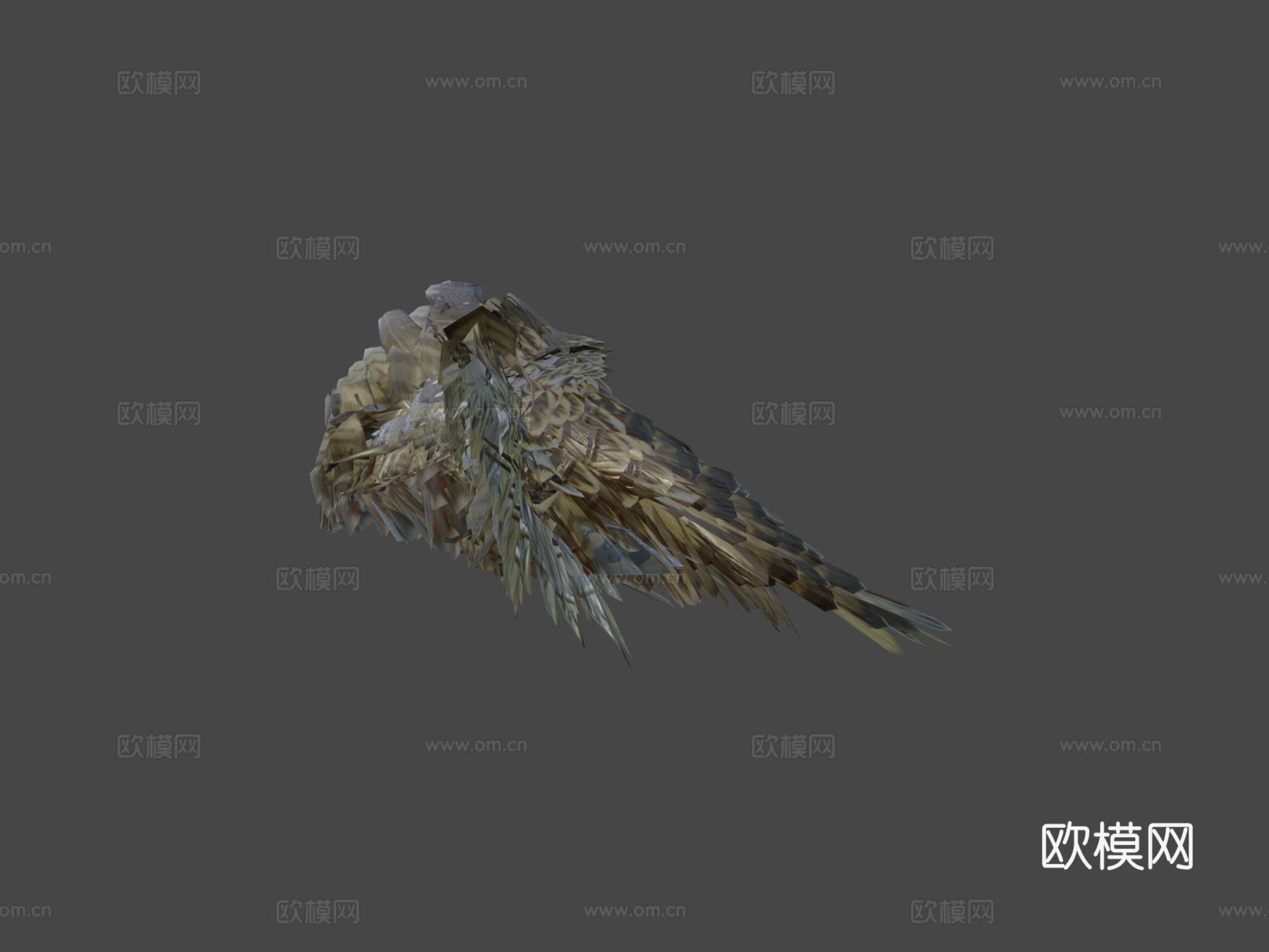 褐隼3d模型