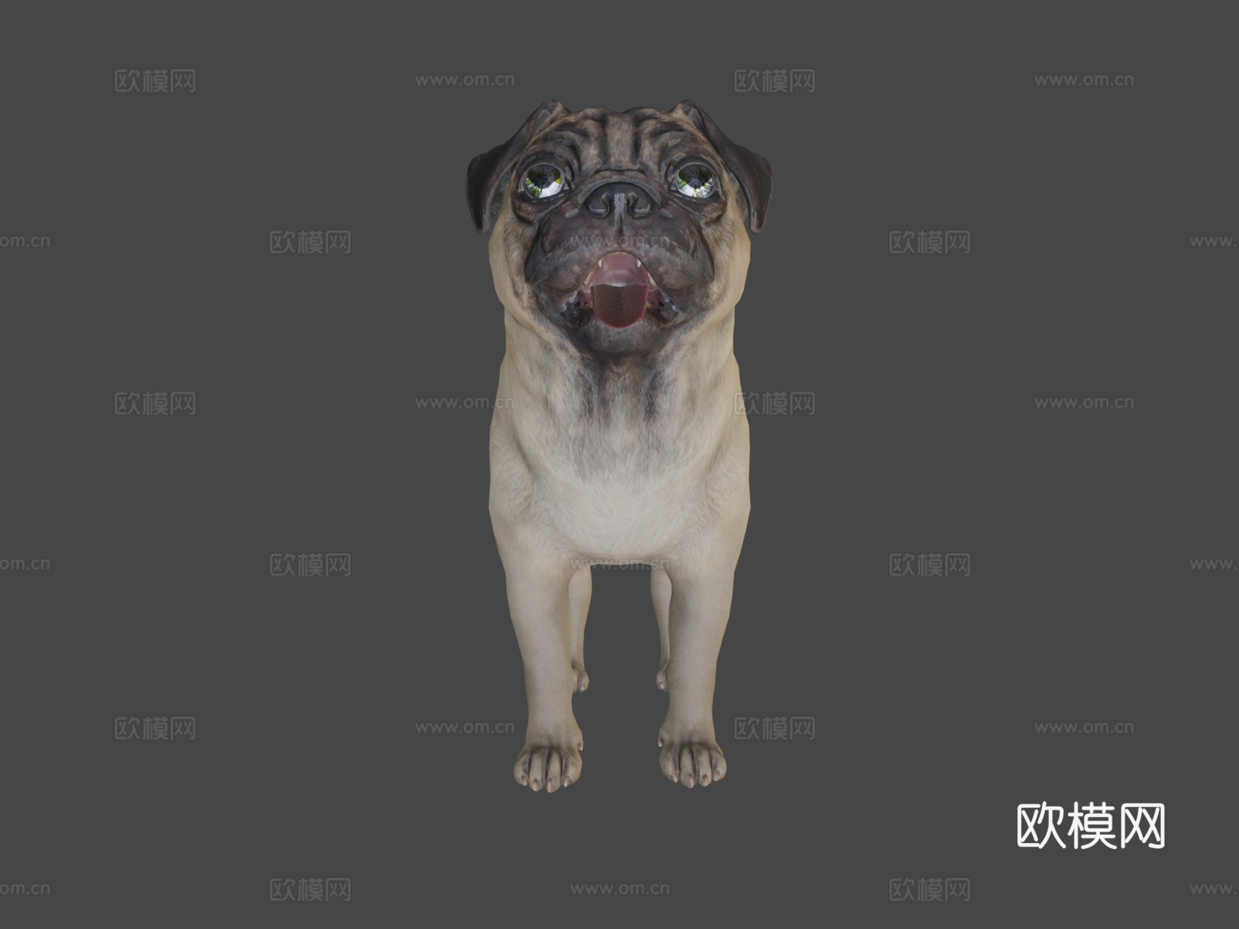 狗-哈巴狗3d模型