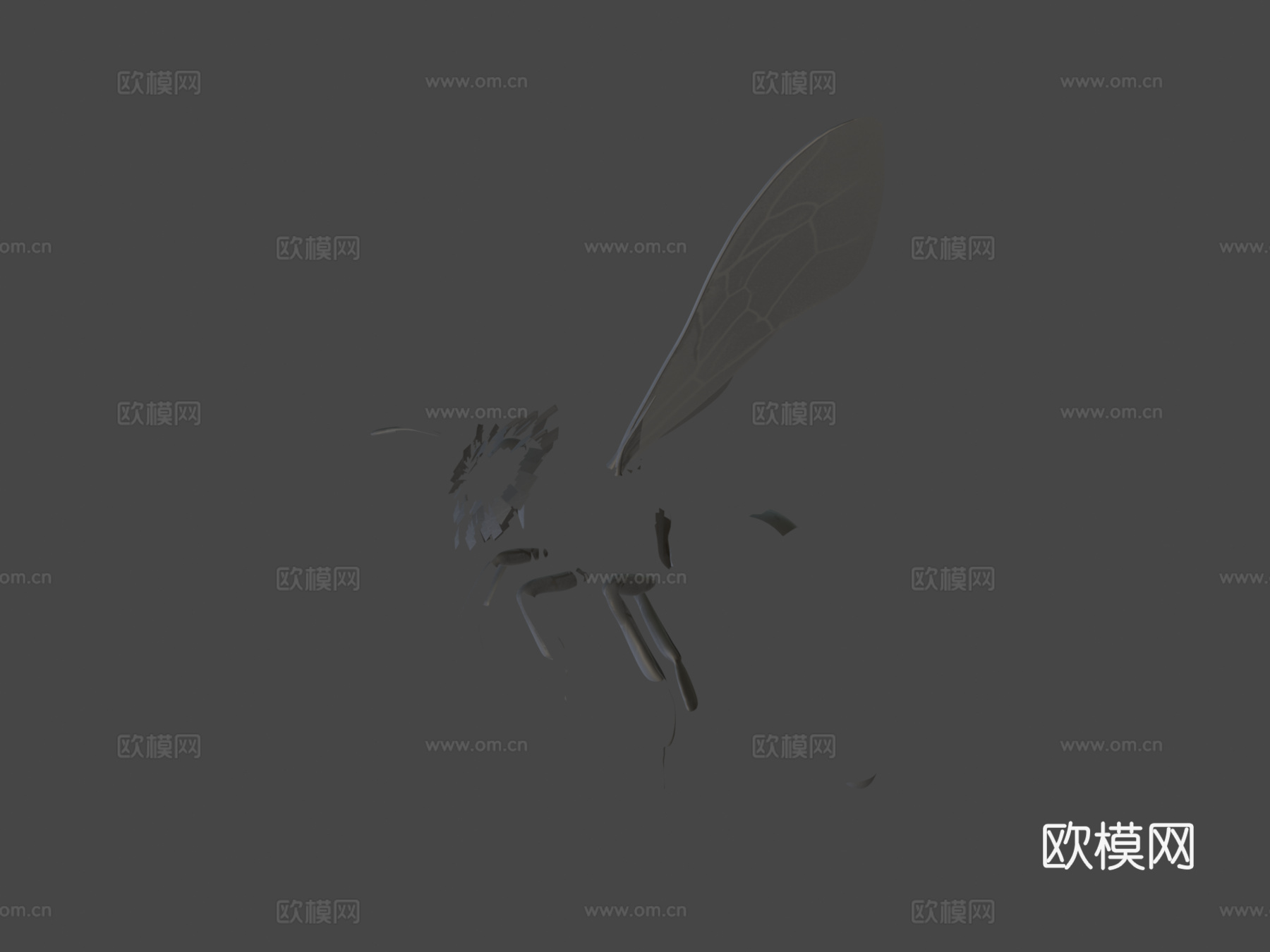 蜜蜂3d模型