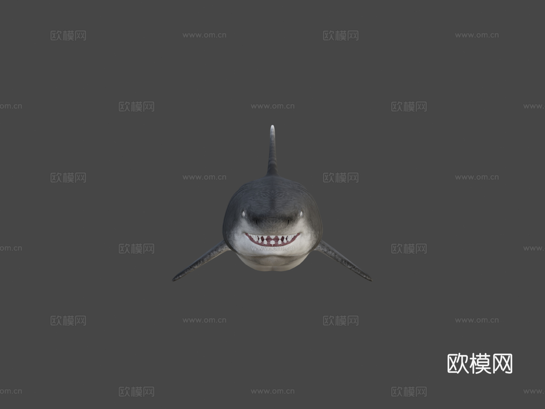 巨齿鲨3d模型