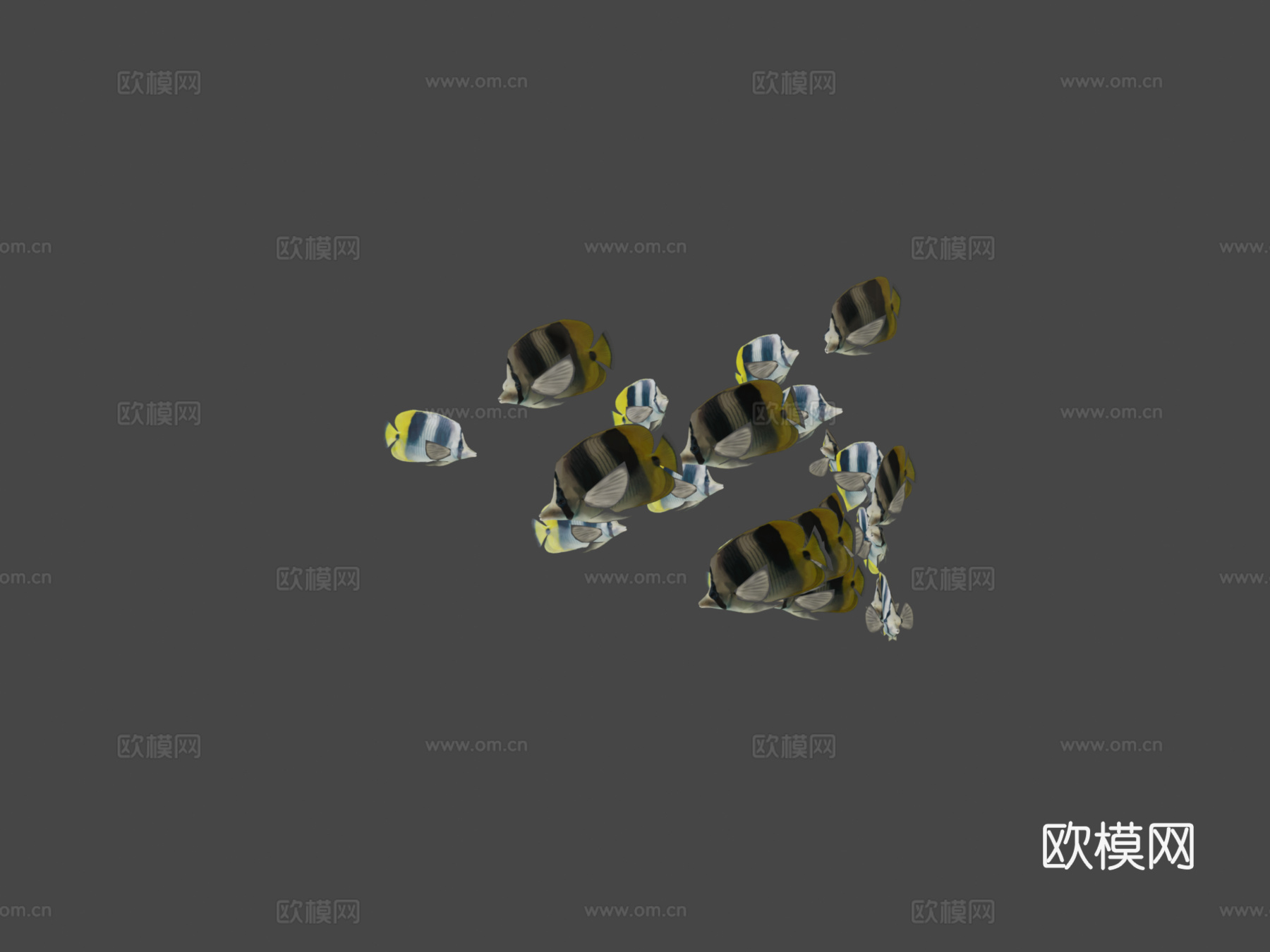 群游双鞍鱼3d模型