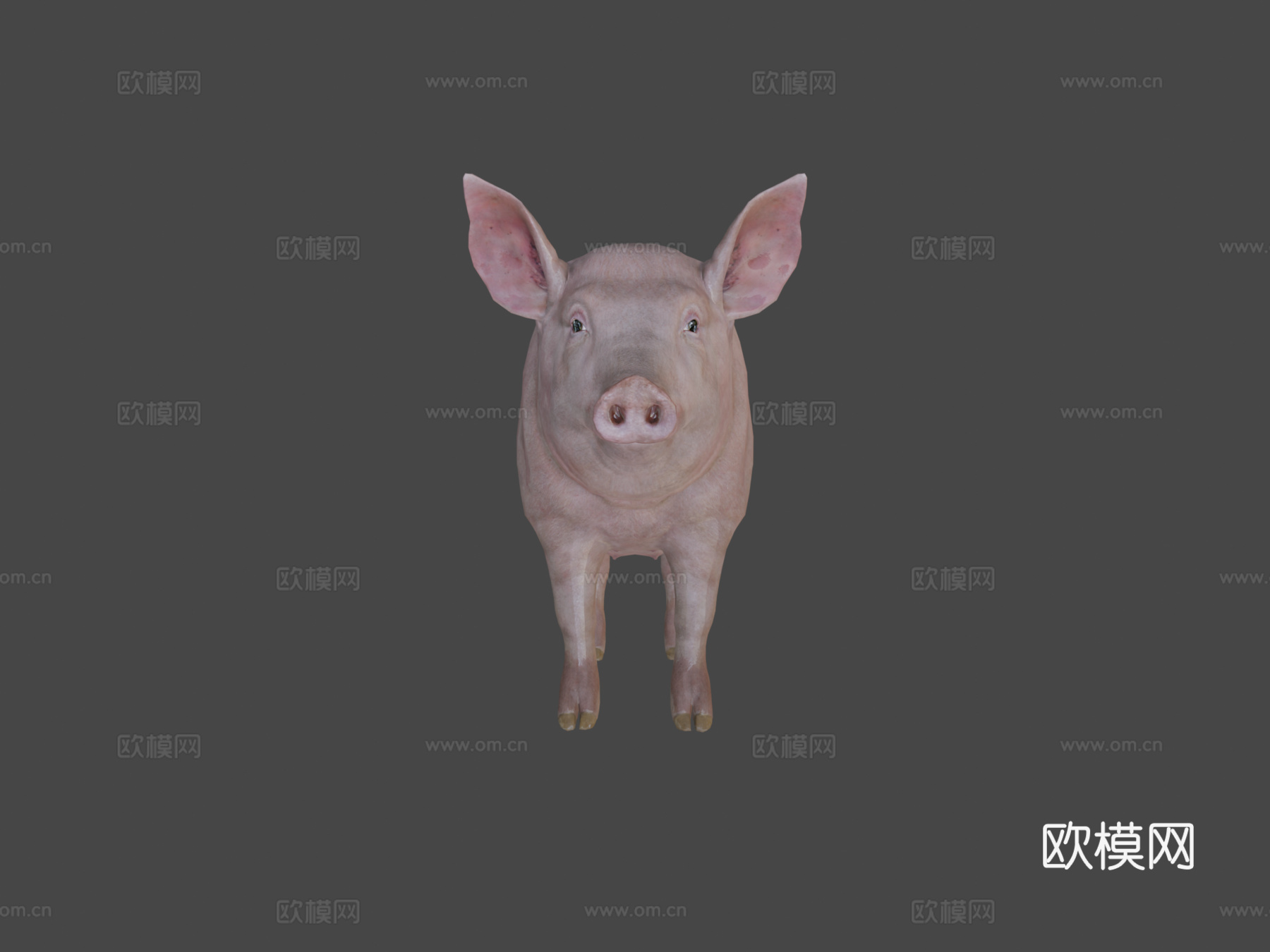 猪动画3d模型