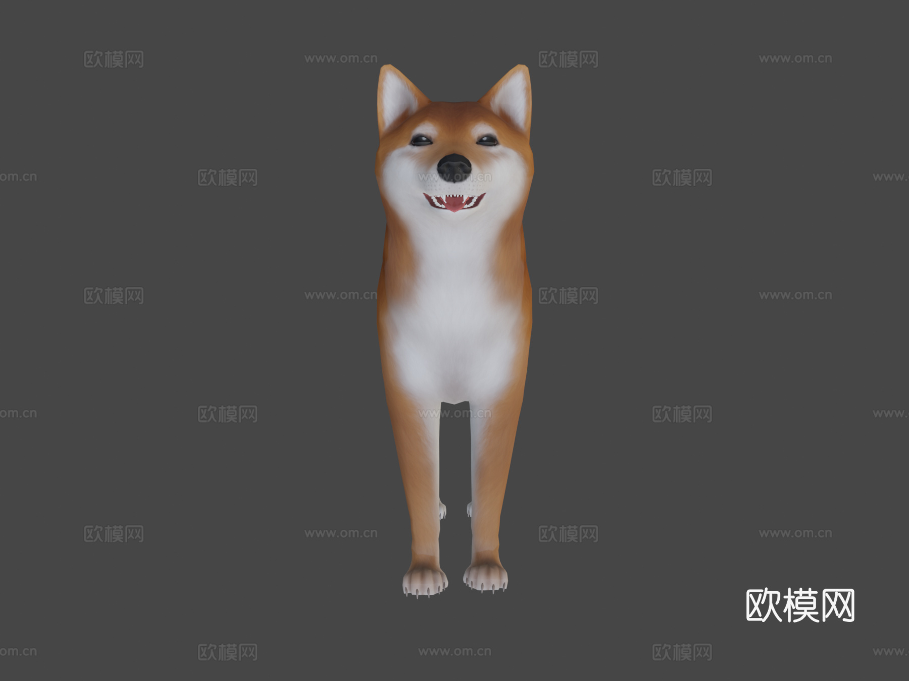 柴犬3d模型