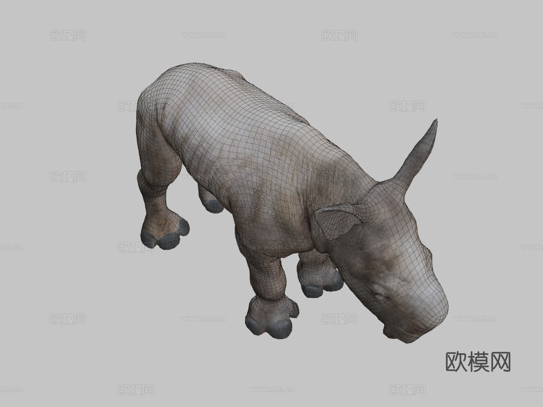 白犀牛宝宝静态姿势三角化3d模型