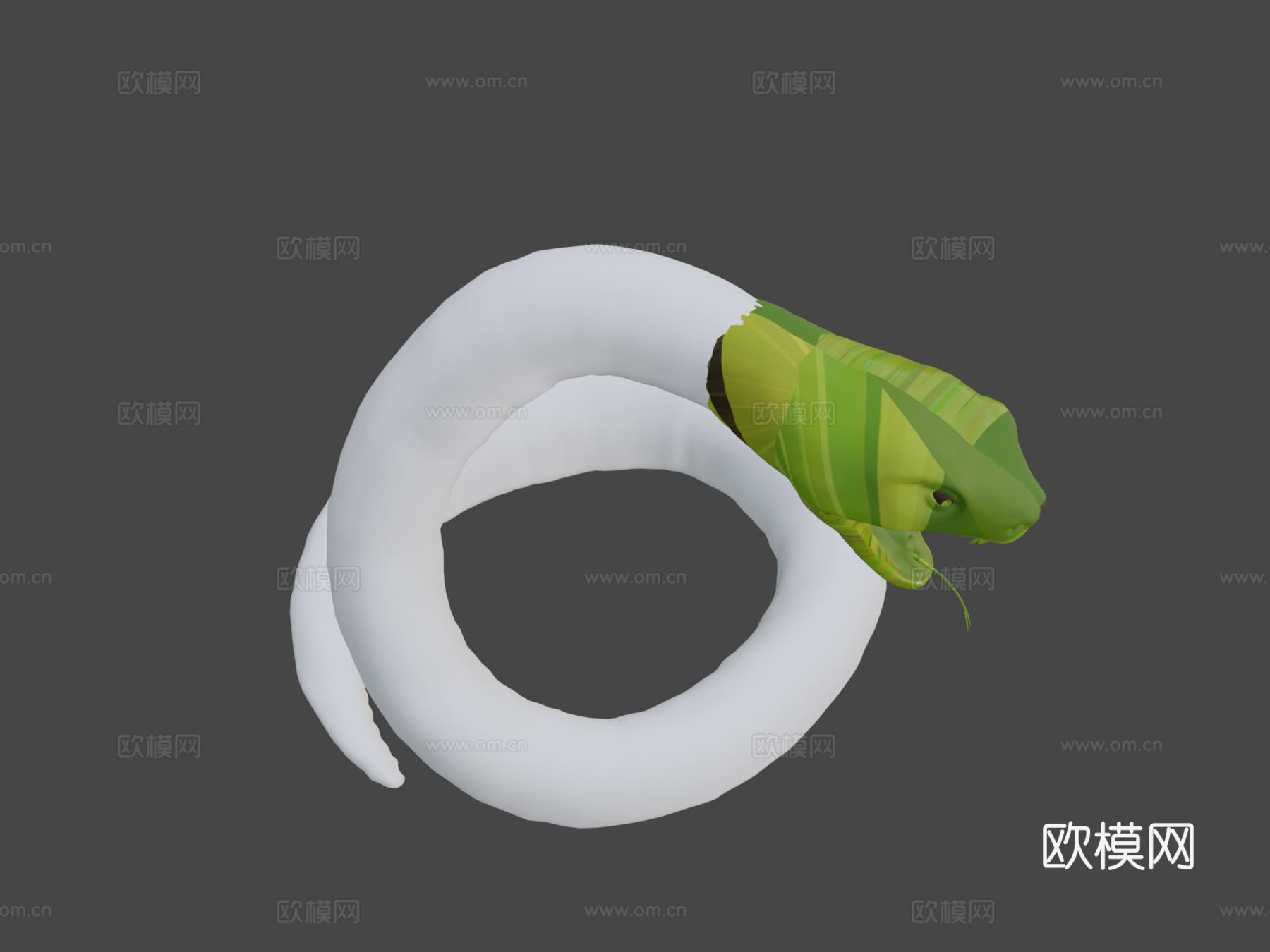 大型绿色攻击性蛇3d模型