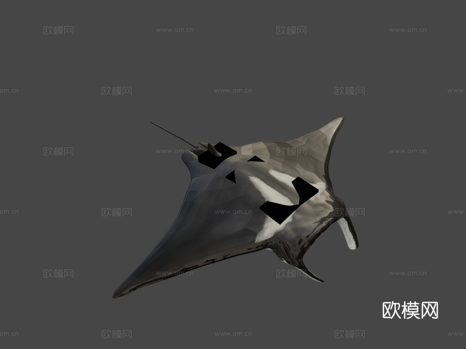 蝠鲼3d模型
