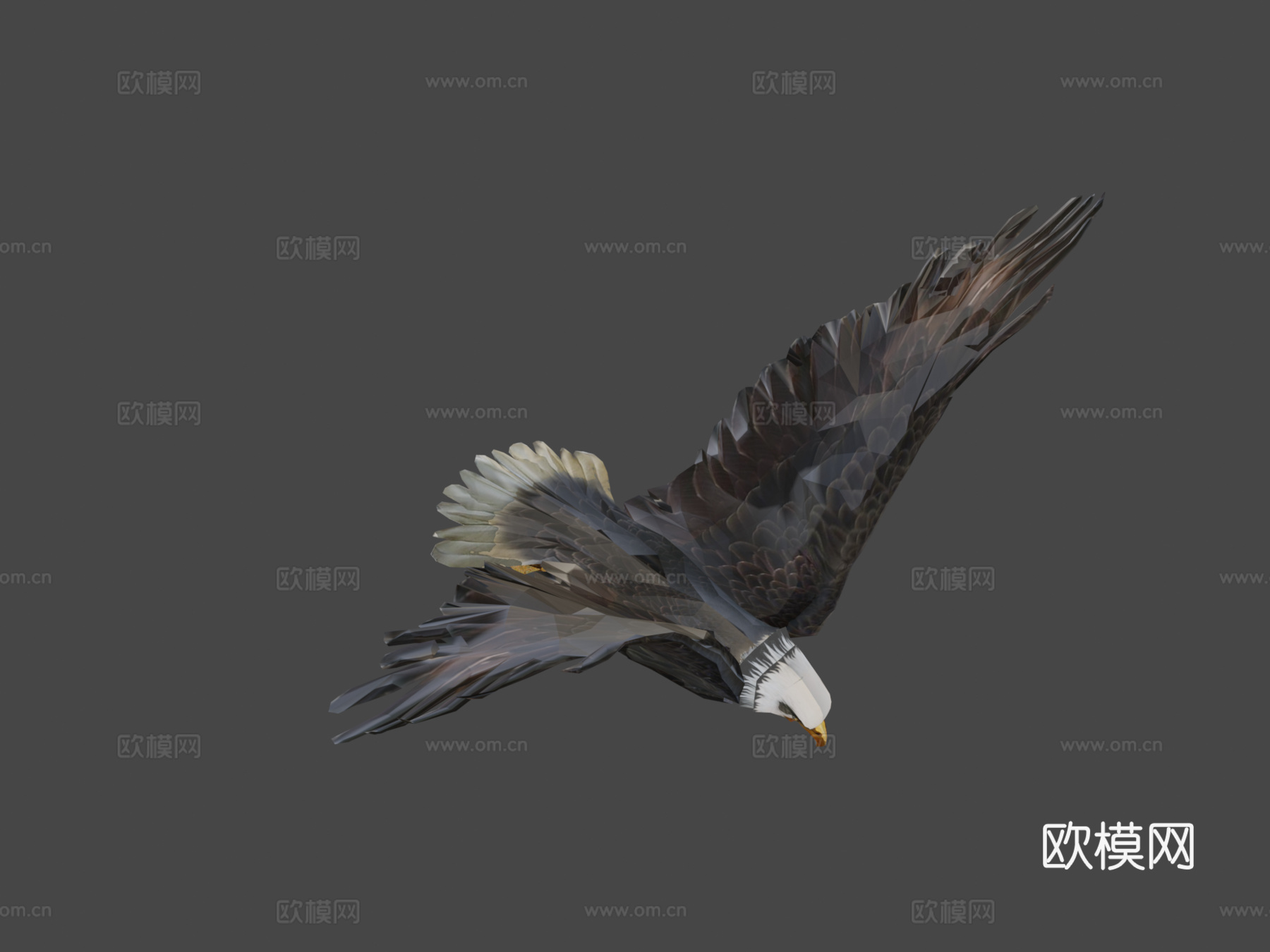 动画鹰3d模型