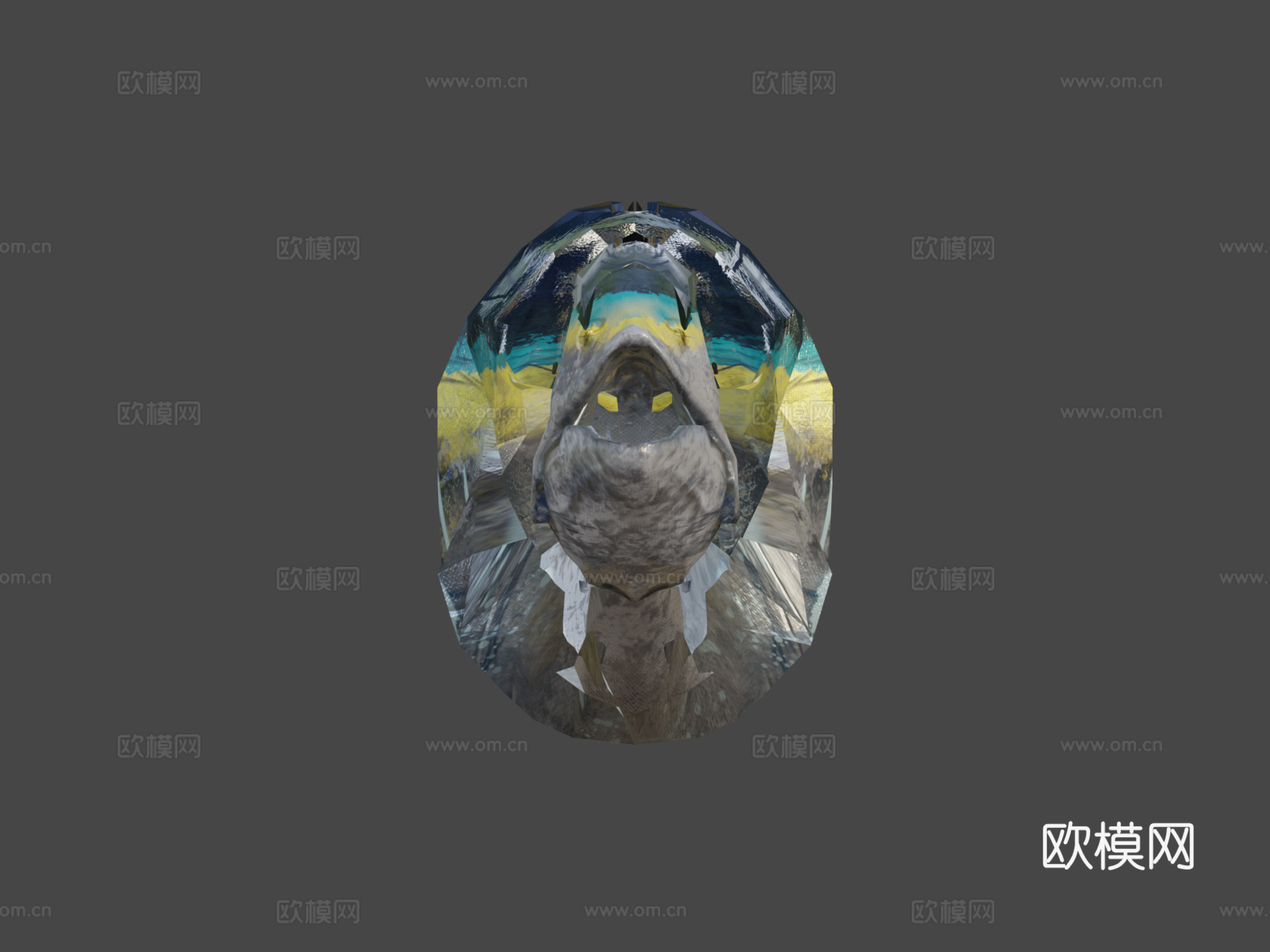 金枪鱼3d模型