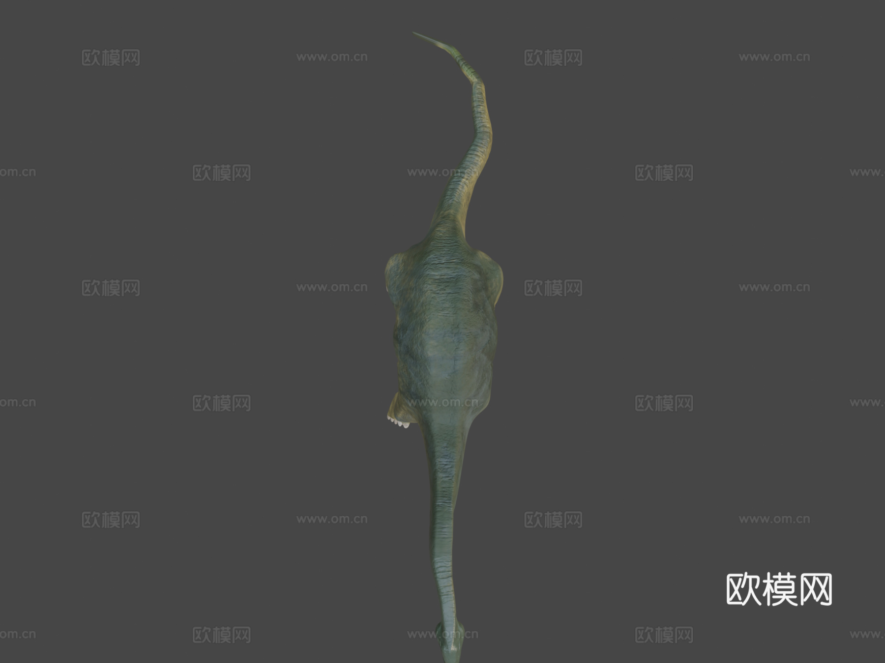 恐龙3d模型