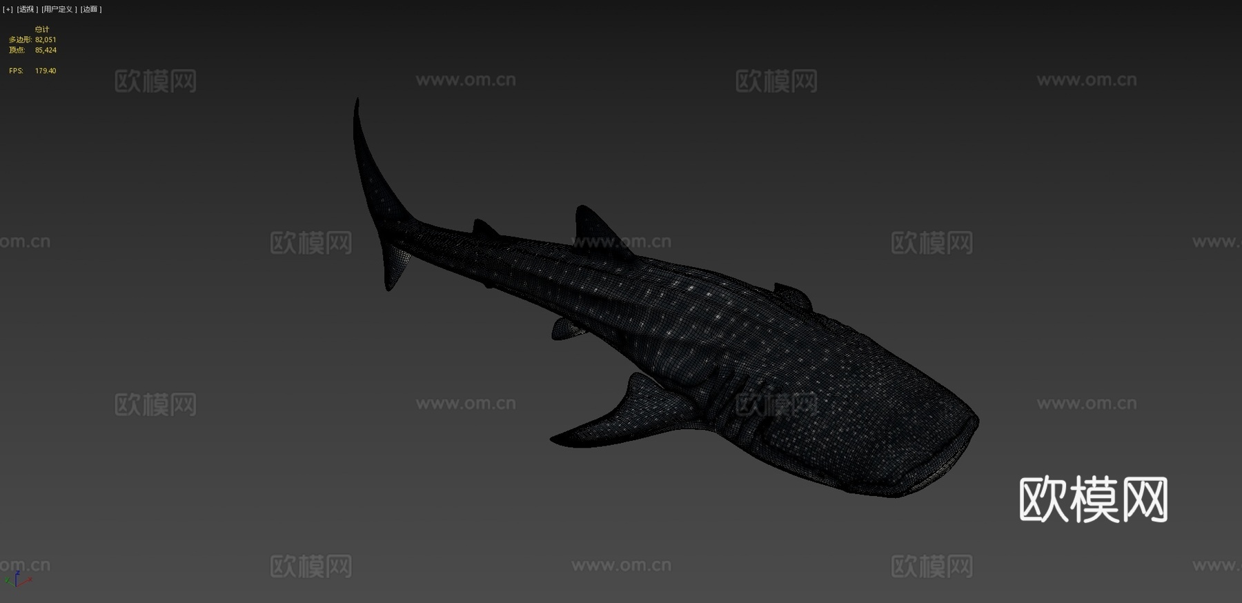 A型-鲸鲨3d模型
