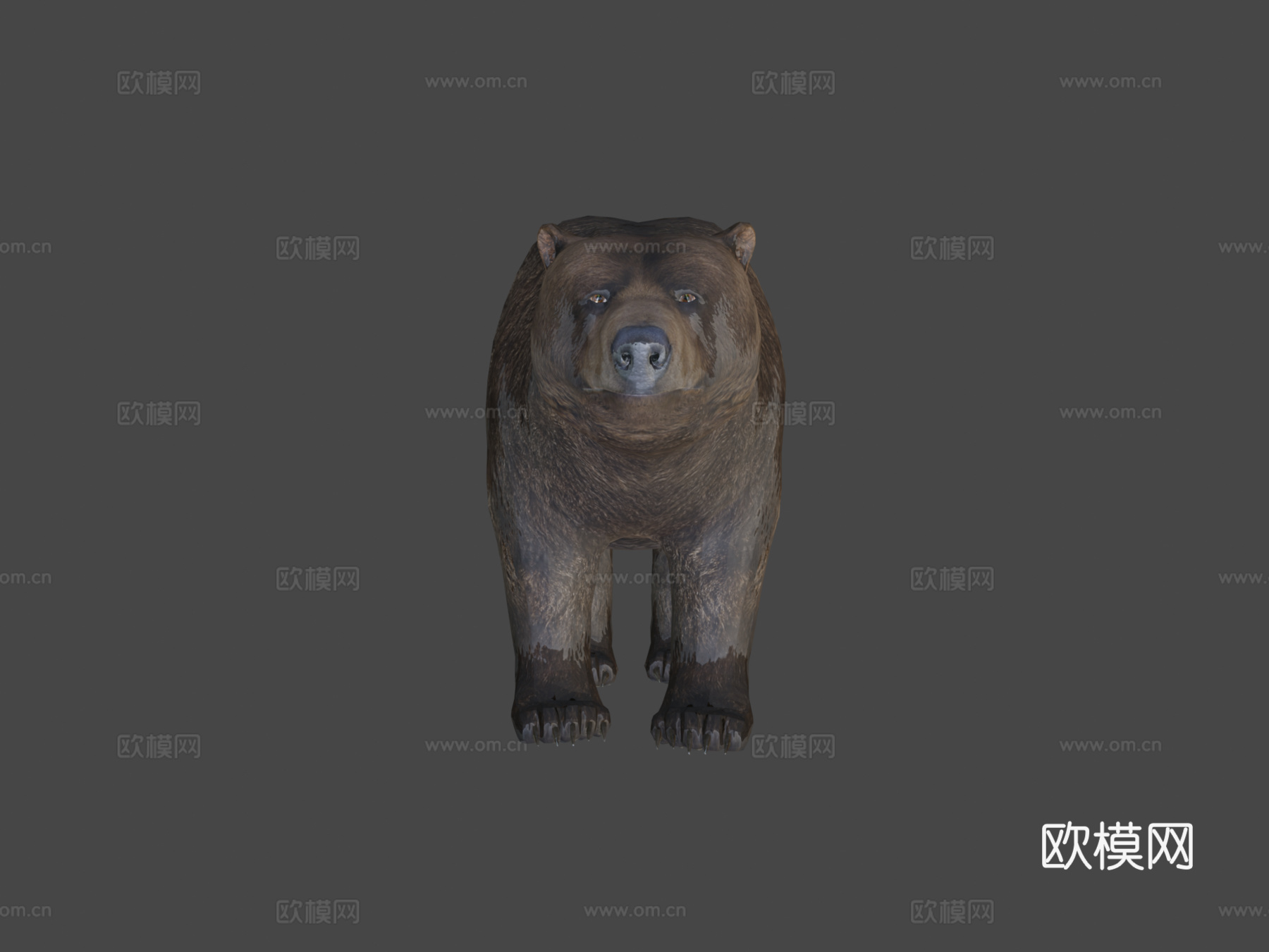 雄性熊3d模型