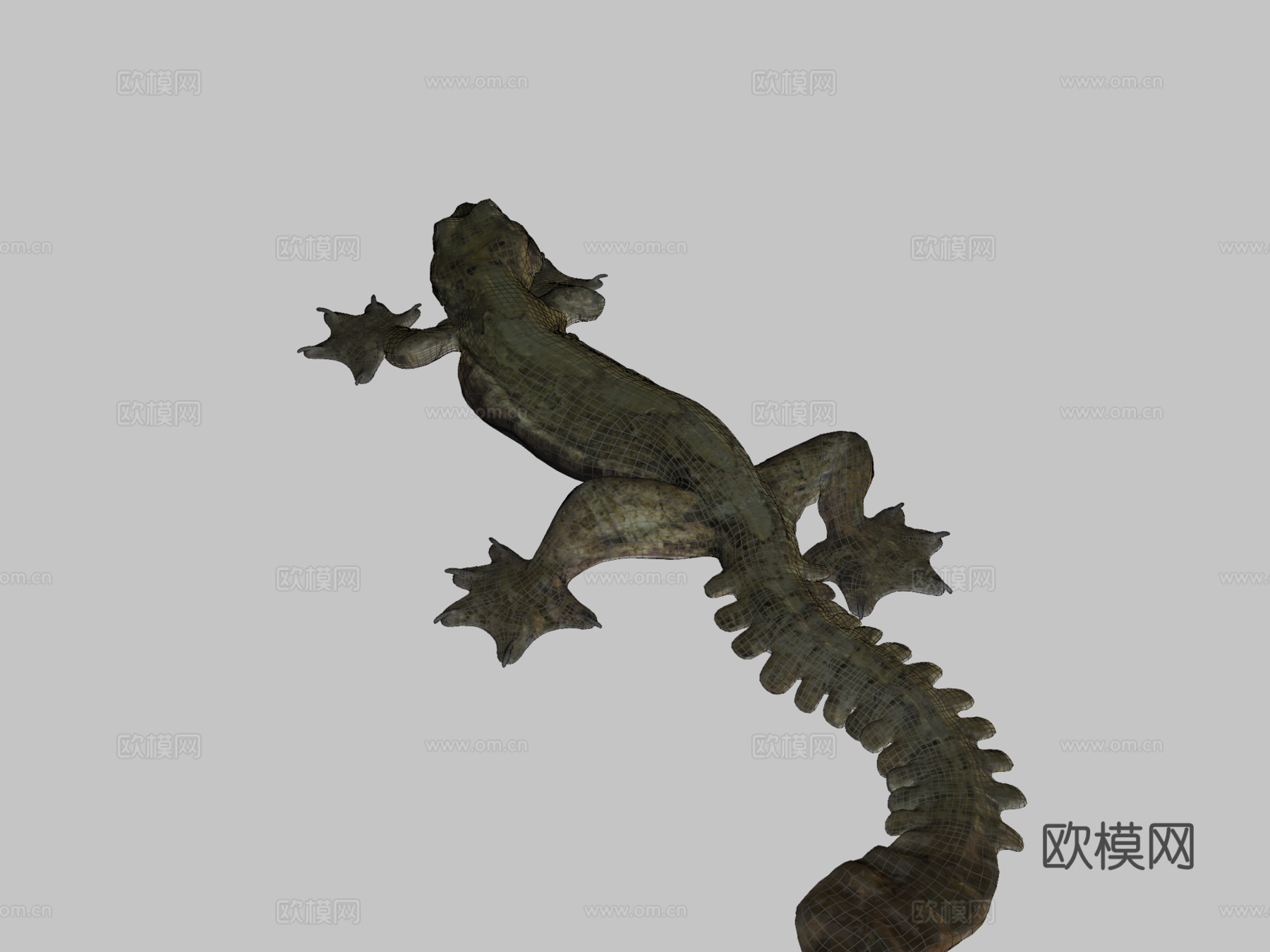 A型-飞壁虎3d模型