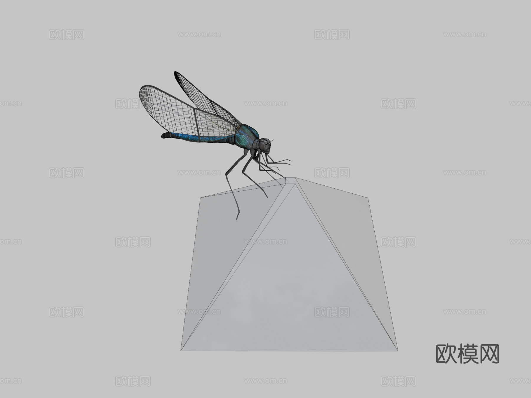 蜻蜓3d模型