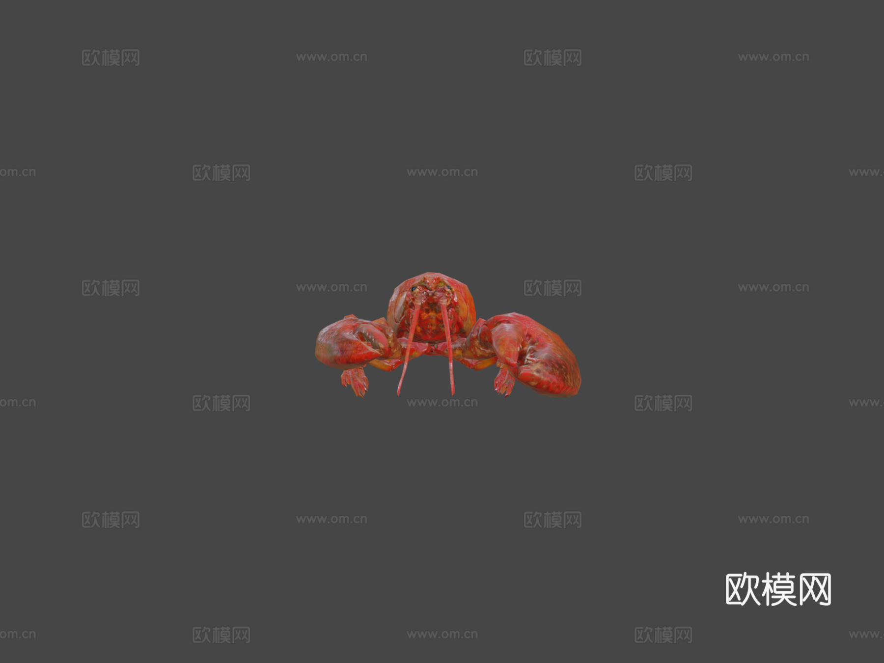 龙虾3d模型