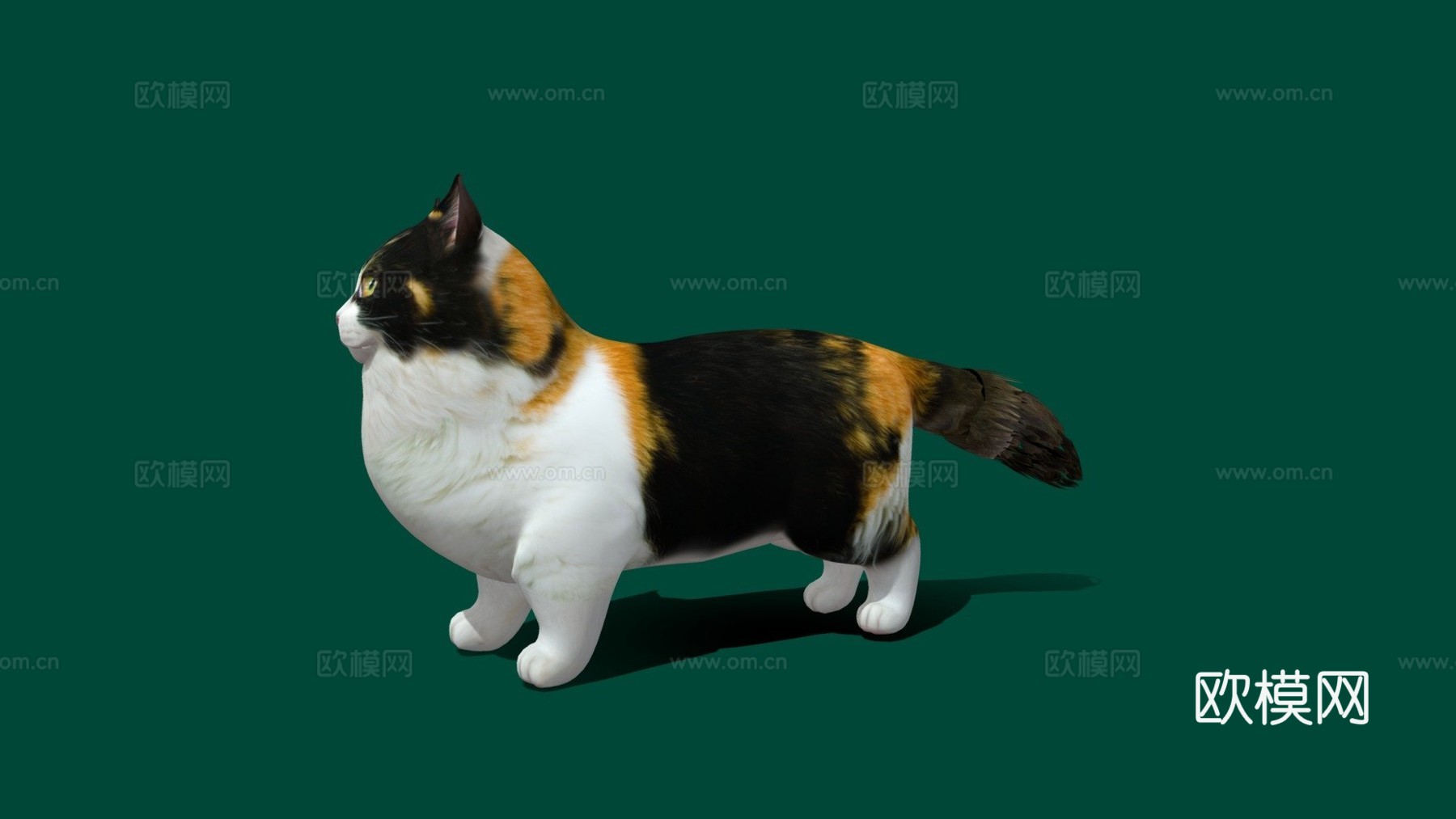 曼基康猫3d模型