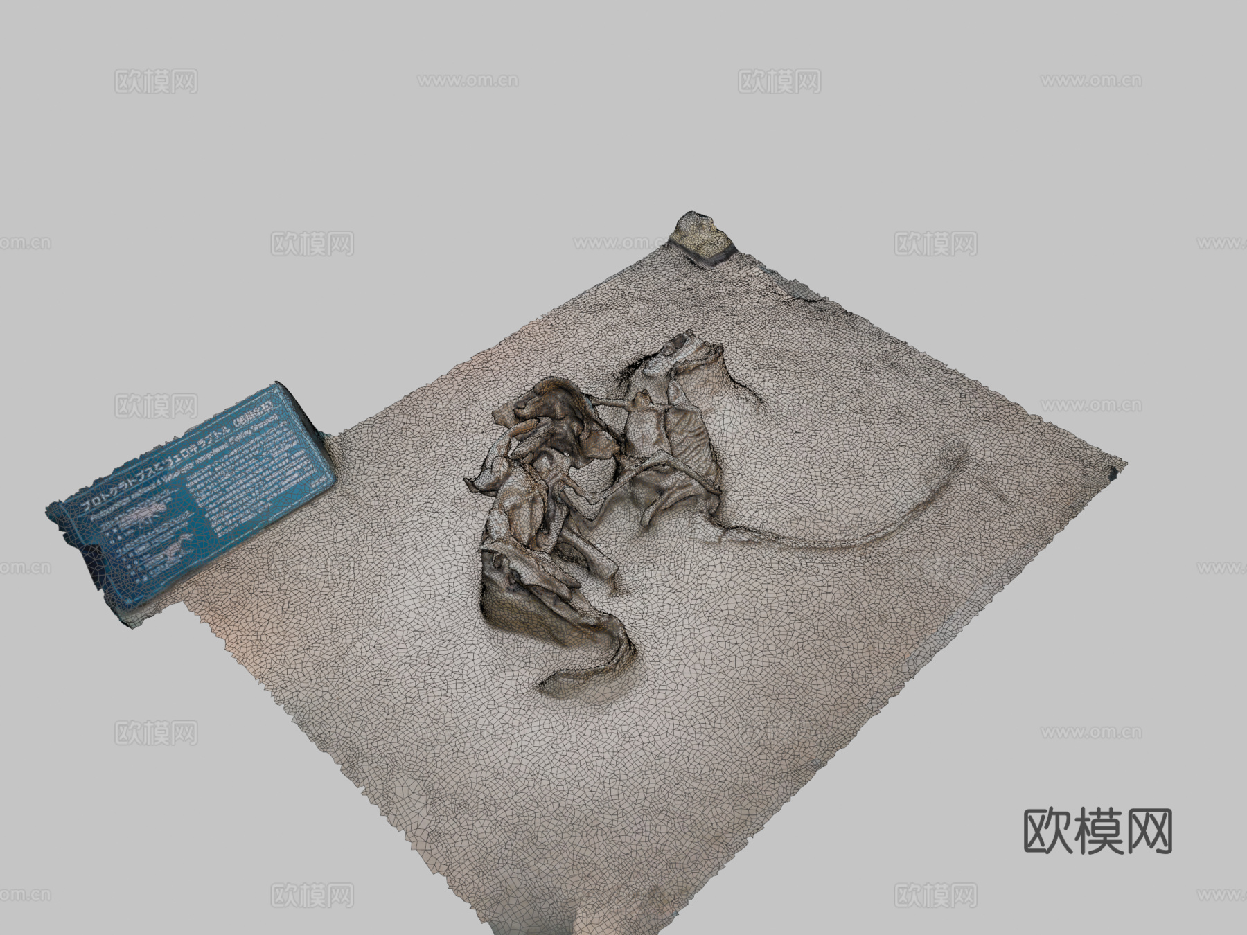 战斗恐龙3d模型