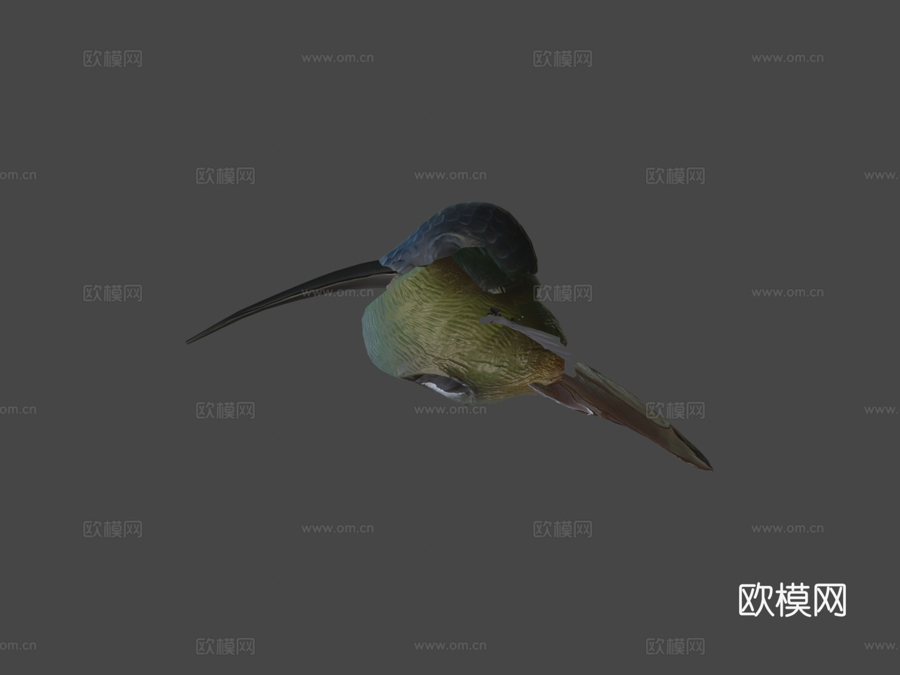 动画悬停飞行蜂鸟循环3d模型