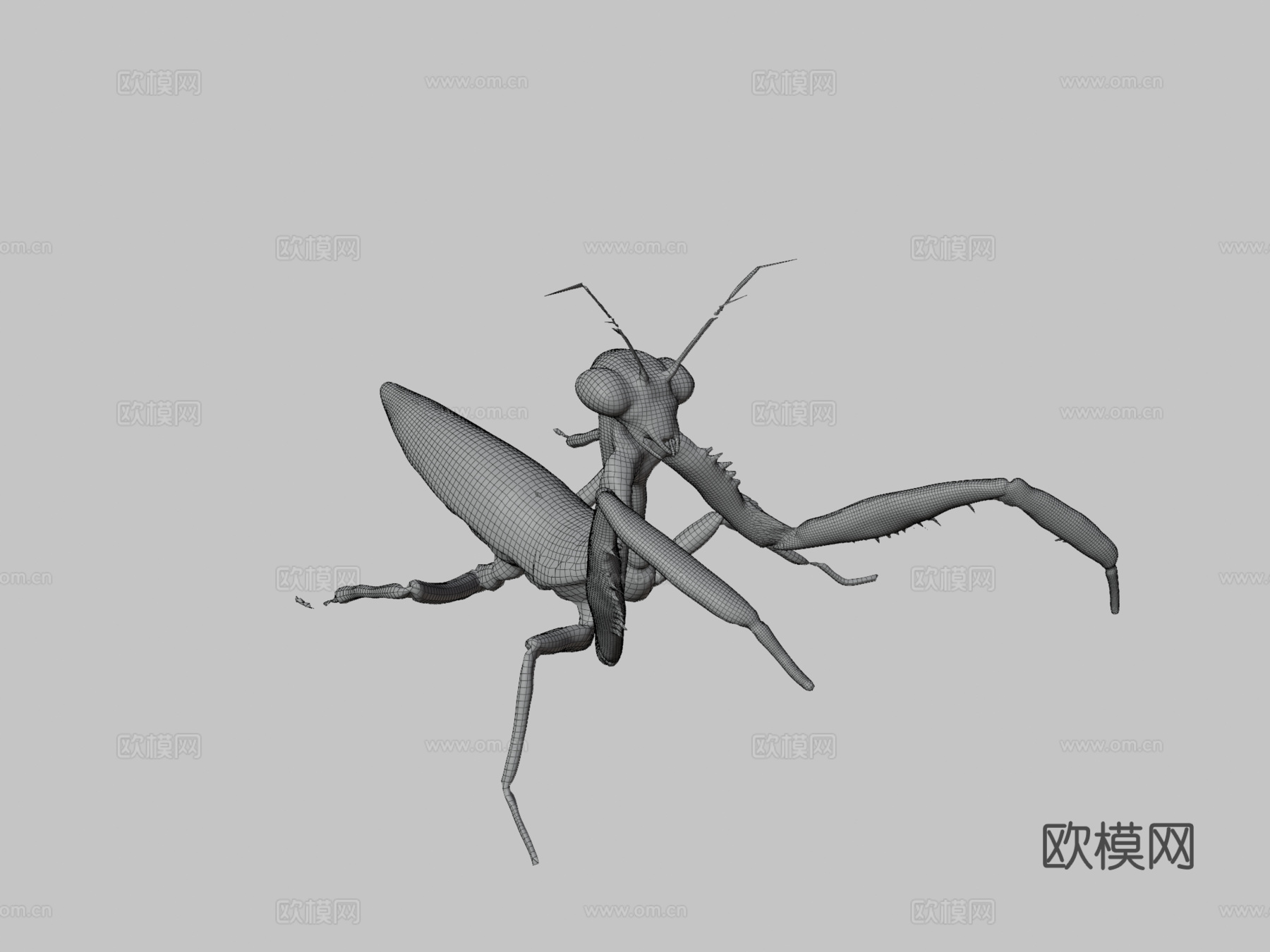 螳螂3d模型