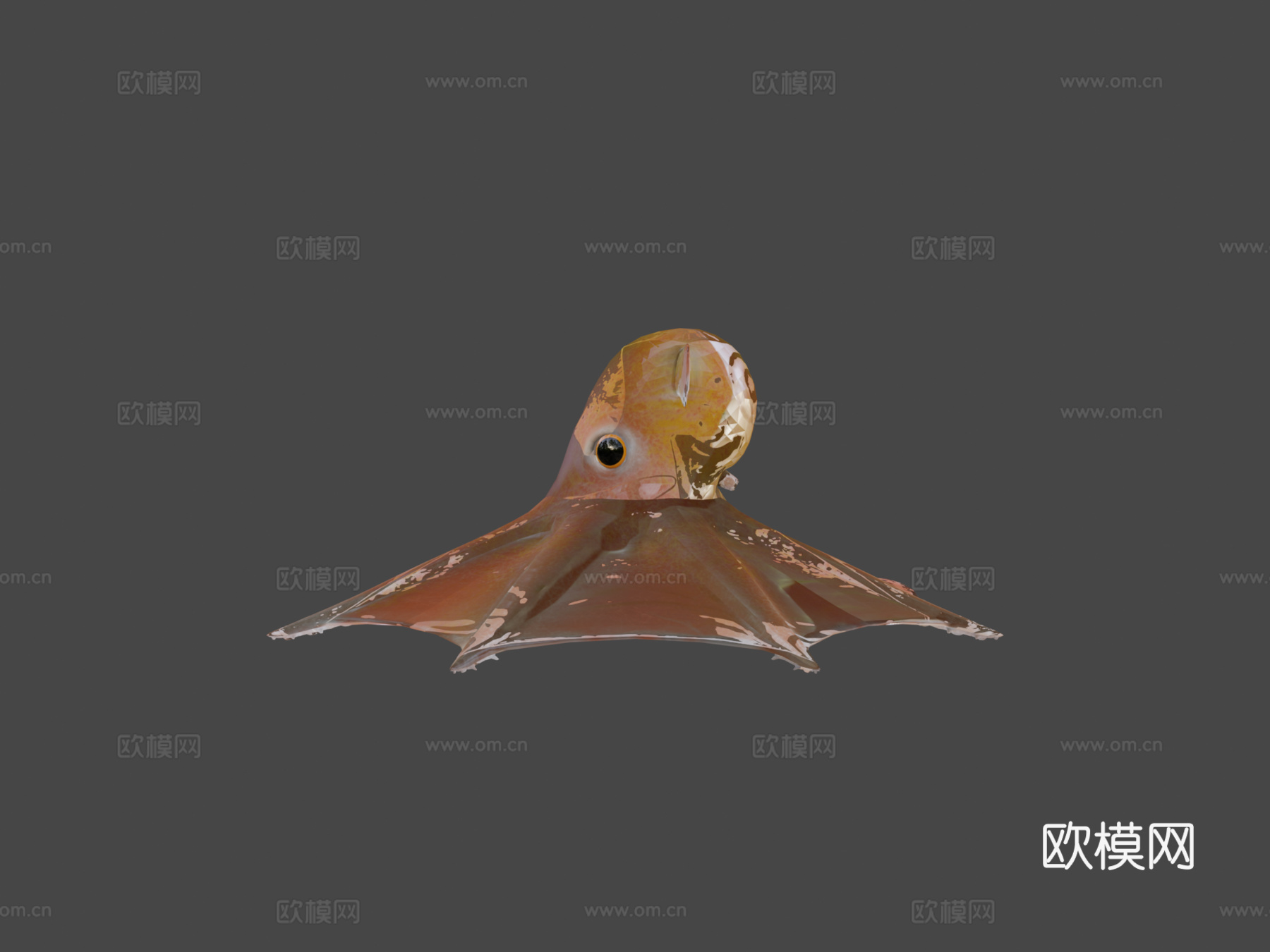 小飞象章鱼3d模型