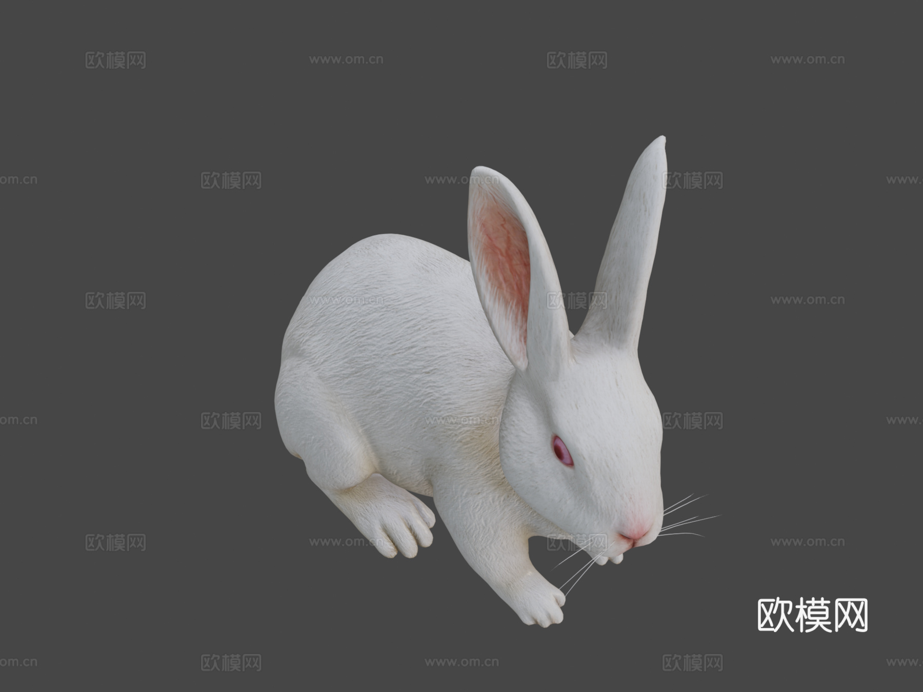 兔子3d模型