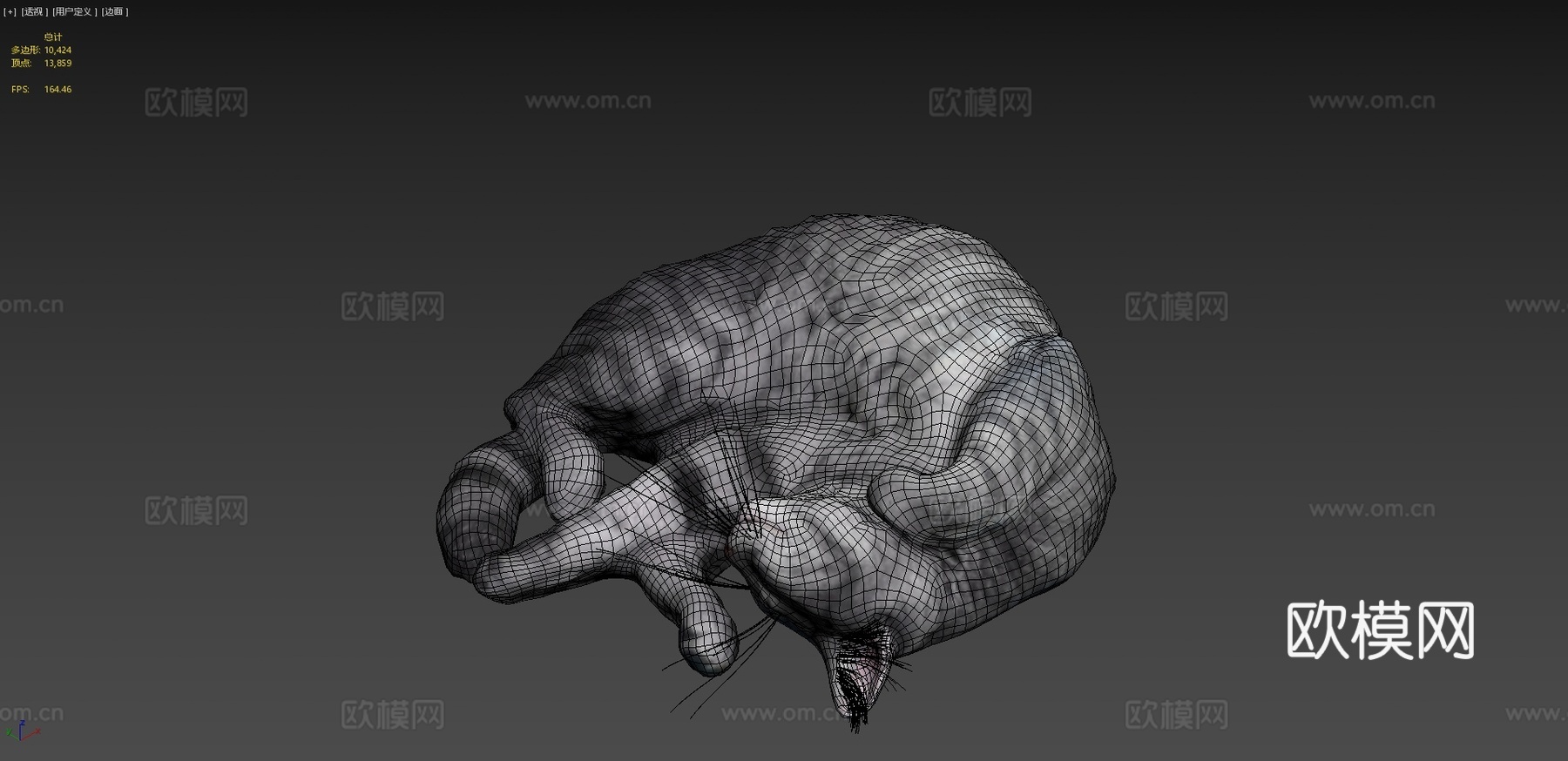 睡猫3d模型
