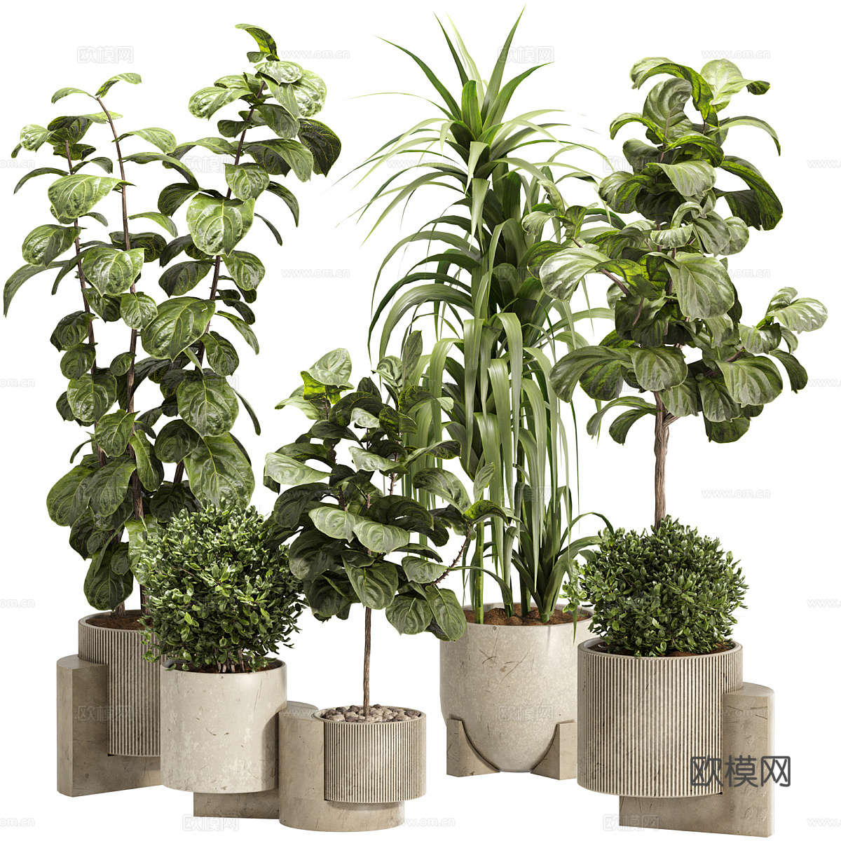 新中式侘寂绿植盆栽3d模型