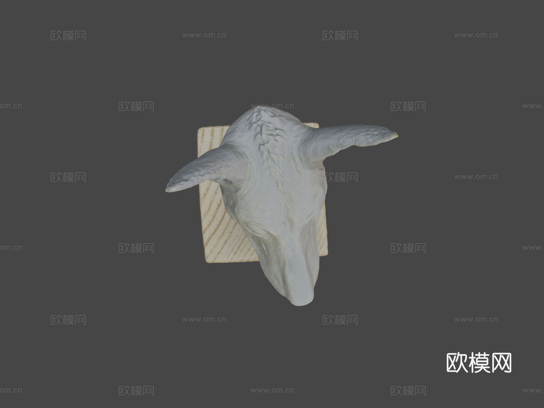 艾伦·卡拉斯科的狗头3d模型